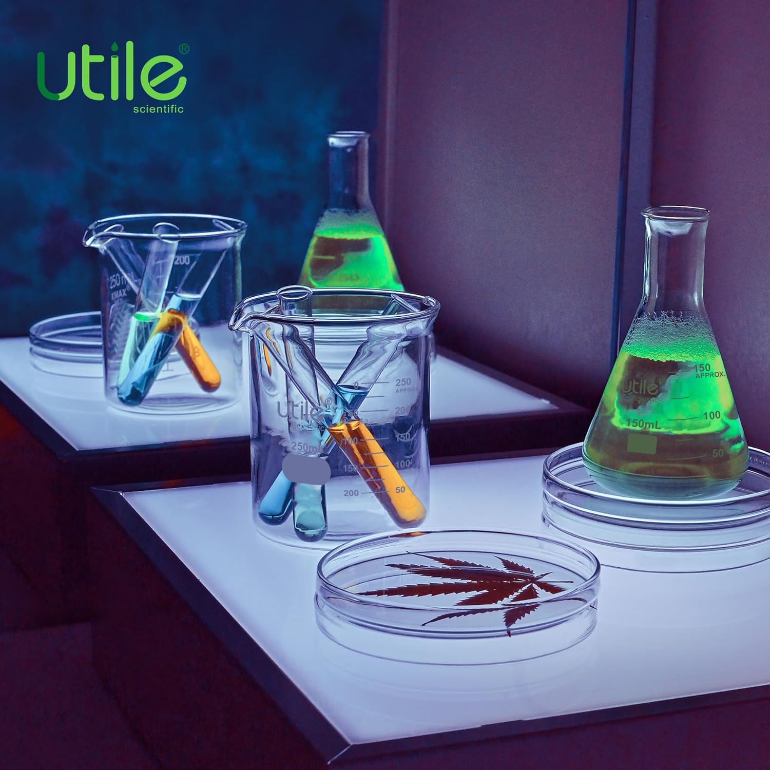 Utile 50pcs de tubos de ensayo de vidrio cilíndricos lisos, Vol.0.5 fl oz, 0.630×4.921 in, material de vidrio de borosilicato medio, 4004.0129.50