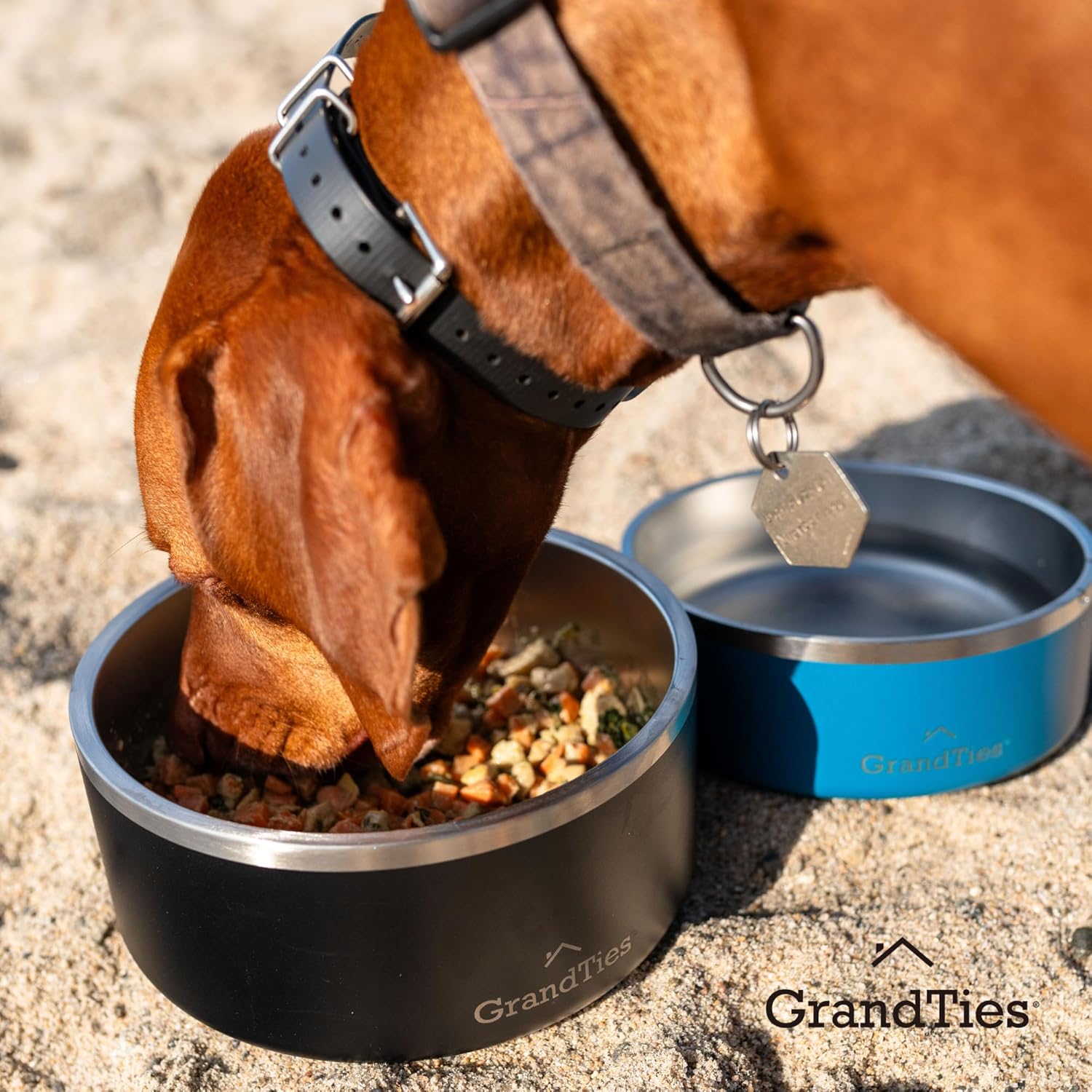 GrandTies Cuenco de acero inoxidable para perros  Cuenco reutilizable grabado sin BPA con aislamiento para gatos y perros  Cuenco grande y