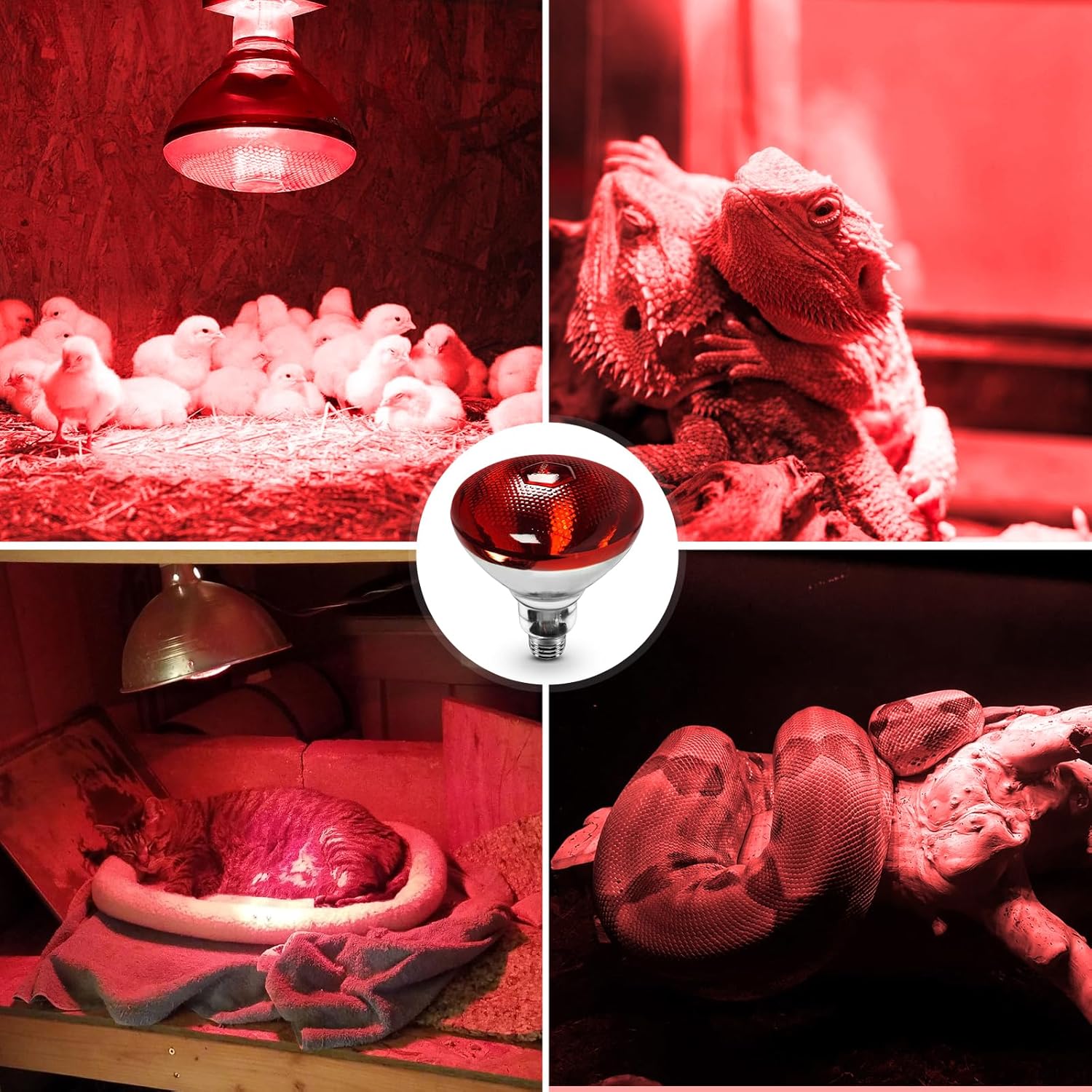 Lámpara de calor rojo infrarrojo PAR38250 vatios bombilla de vidrio para servicio de alimentos, bombilla de criador, pollos, mascotas, baño, uso de