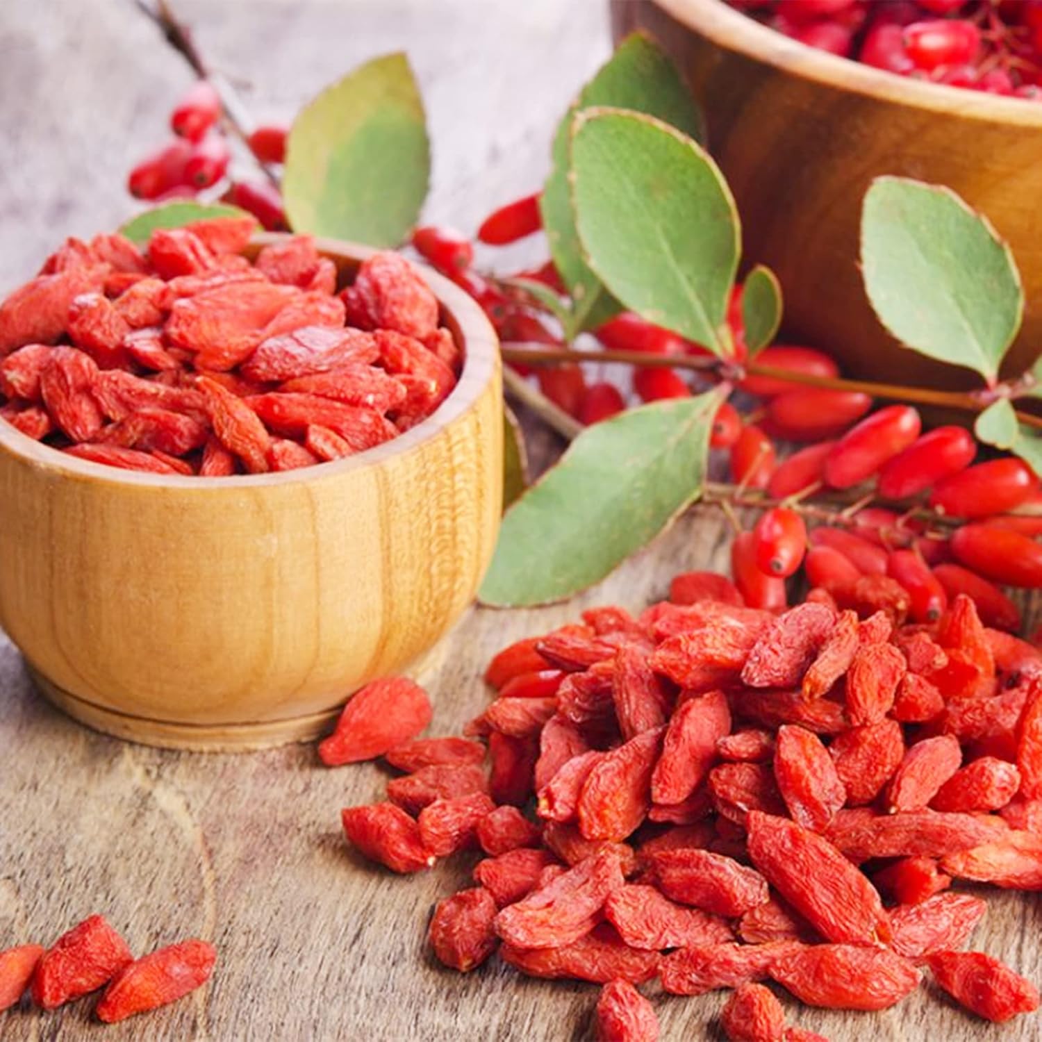QAUZUY GARDEN 50 piezas de agracejo indio (Berberis Aristata, Mara Manjal) Chutro Sumbal Tree Semillas de cúrcuma hermosas y comestibles llamativas