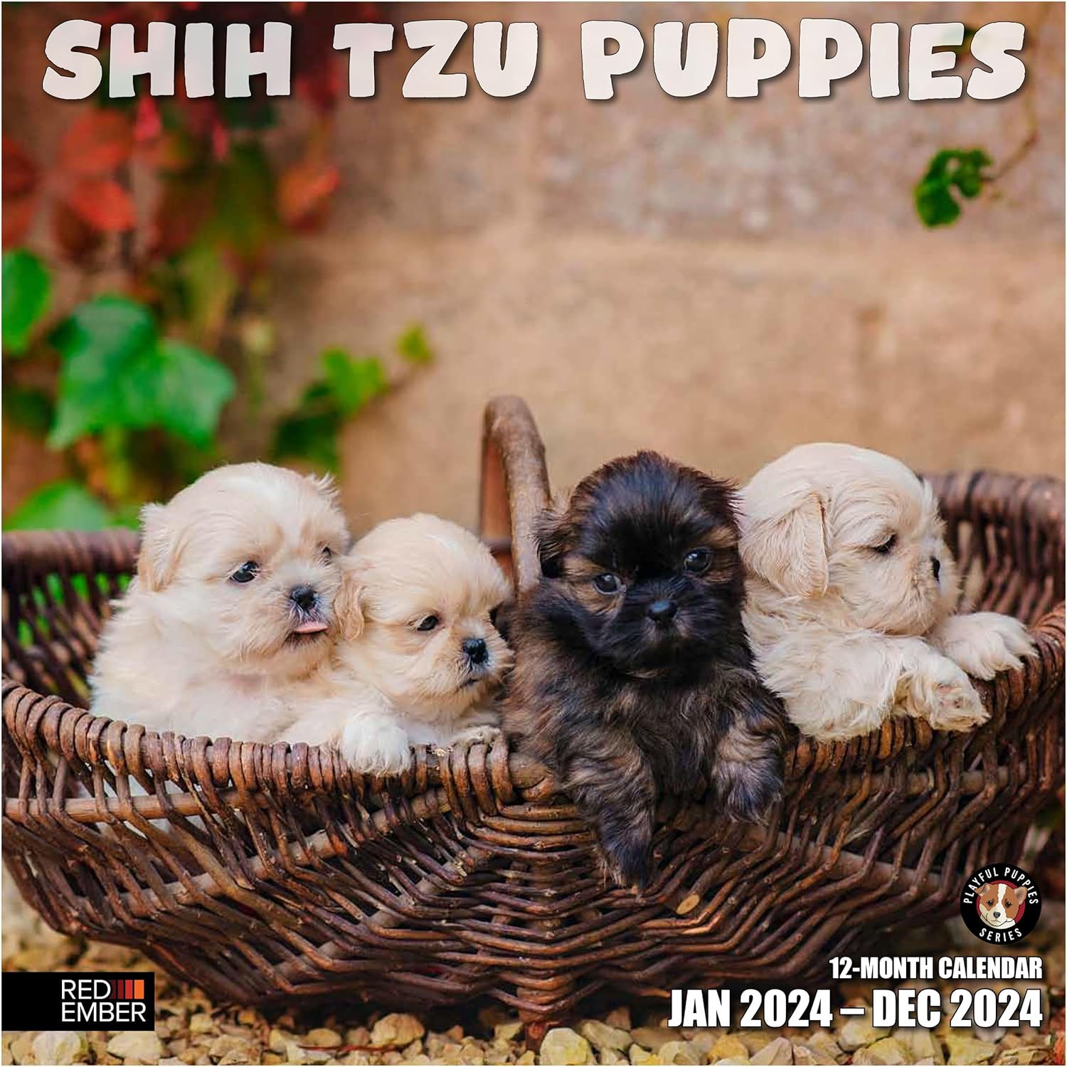 RED EMBER Shih Tzu Puppies – Calendario mensual de pared colgante 2024, 12 x 24 pulgadas, abierto, papel grueso y resistente, para regalo, lindo