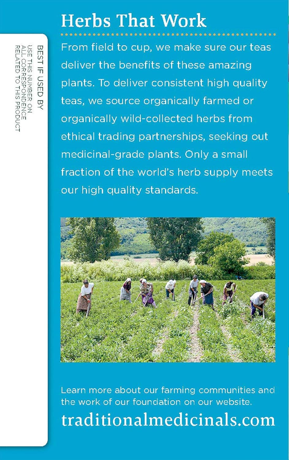 Traditional Medicinals Organic EveryDay Detox Schisandra Berry Té de hierbas, apoya la función hepática saludable, (paquete de 1)  16 bolsas de té