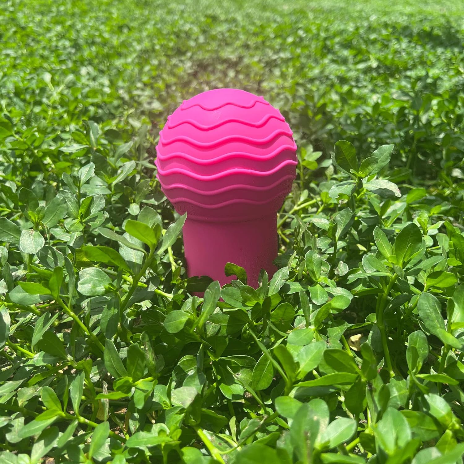 Accesorio para minas terrestres para bomba de barra para barras olímpicas de 2 pulgadas