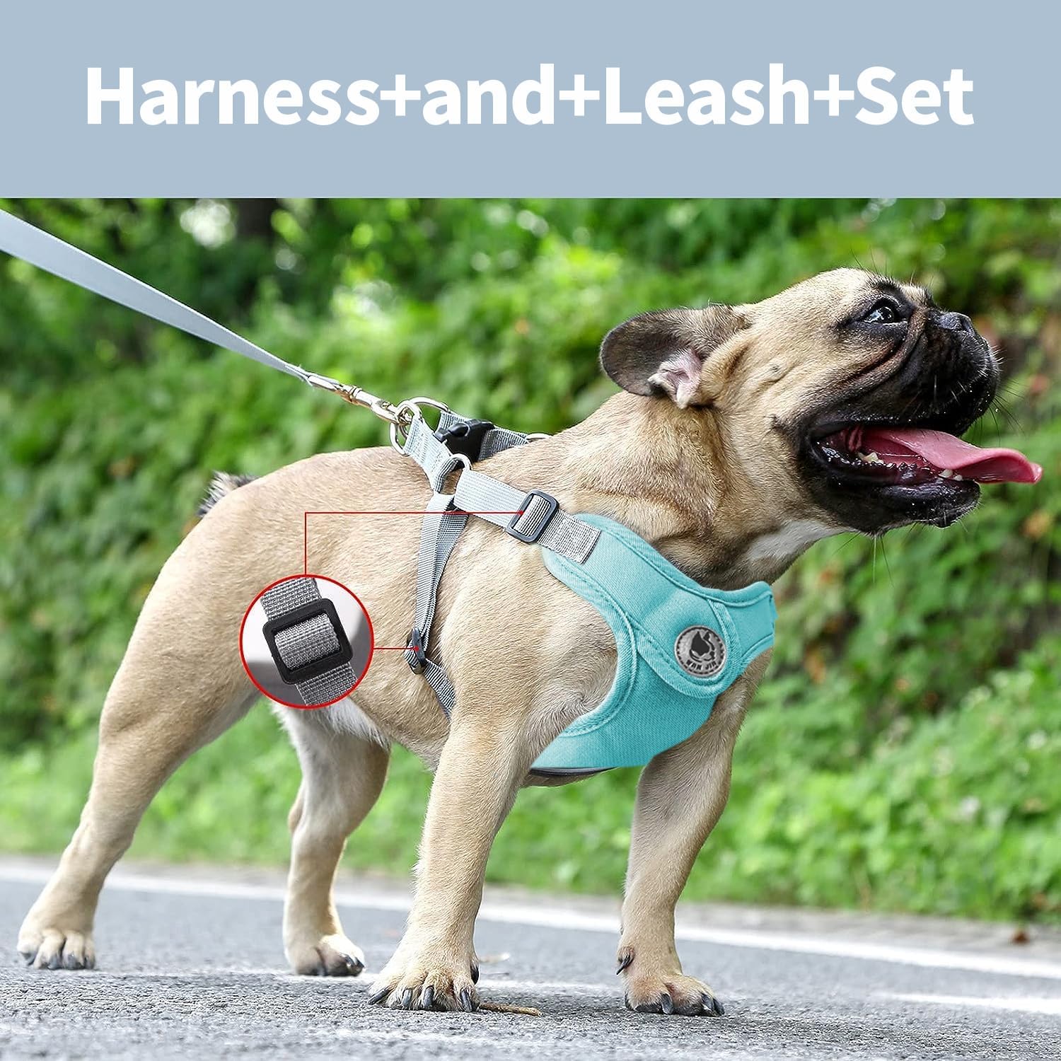 Arnés para perro con correa, arnés sin tirones para mascota con 1 clips para correa, chaleco acolchado suave ajustable para perros pequeños y