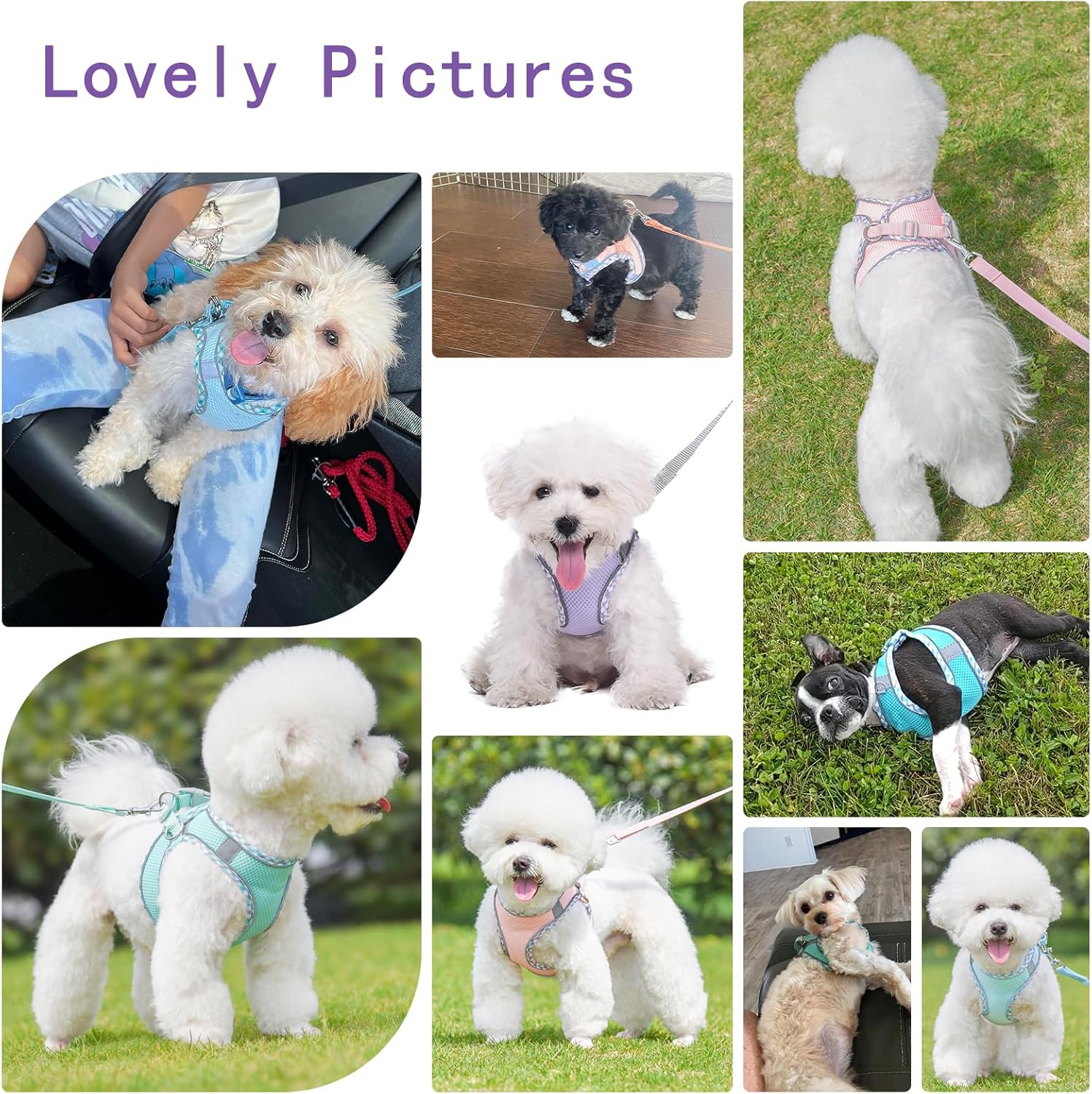 Lindo arnés a cuadros para perros pequeños, de malla suave, arnés y correa para perros pequeños, arnés y correa para perros pequeños, chaleco para