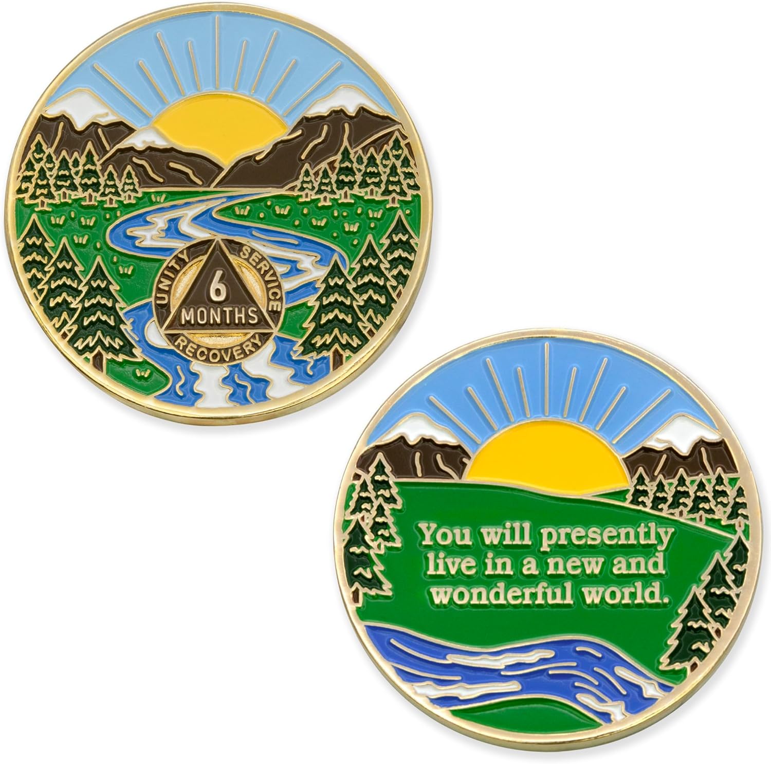 6 meses Sobriety Mint Winding River Gold Plated AA Recovery MedallónChipToken