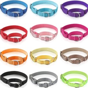 Cunno 12 collares de Martingala para perros medianos, collar reflectante con hebilla de metal duradera, collar ajustable de nailon para mascotas que Cunno 12 collares de Martingala para perros medianos, collar reflectante con hebilla de metal duradera, collar ajustable de nailon para mascotas que