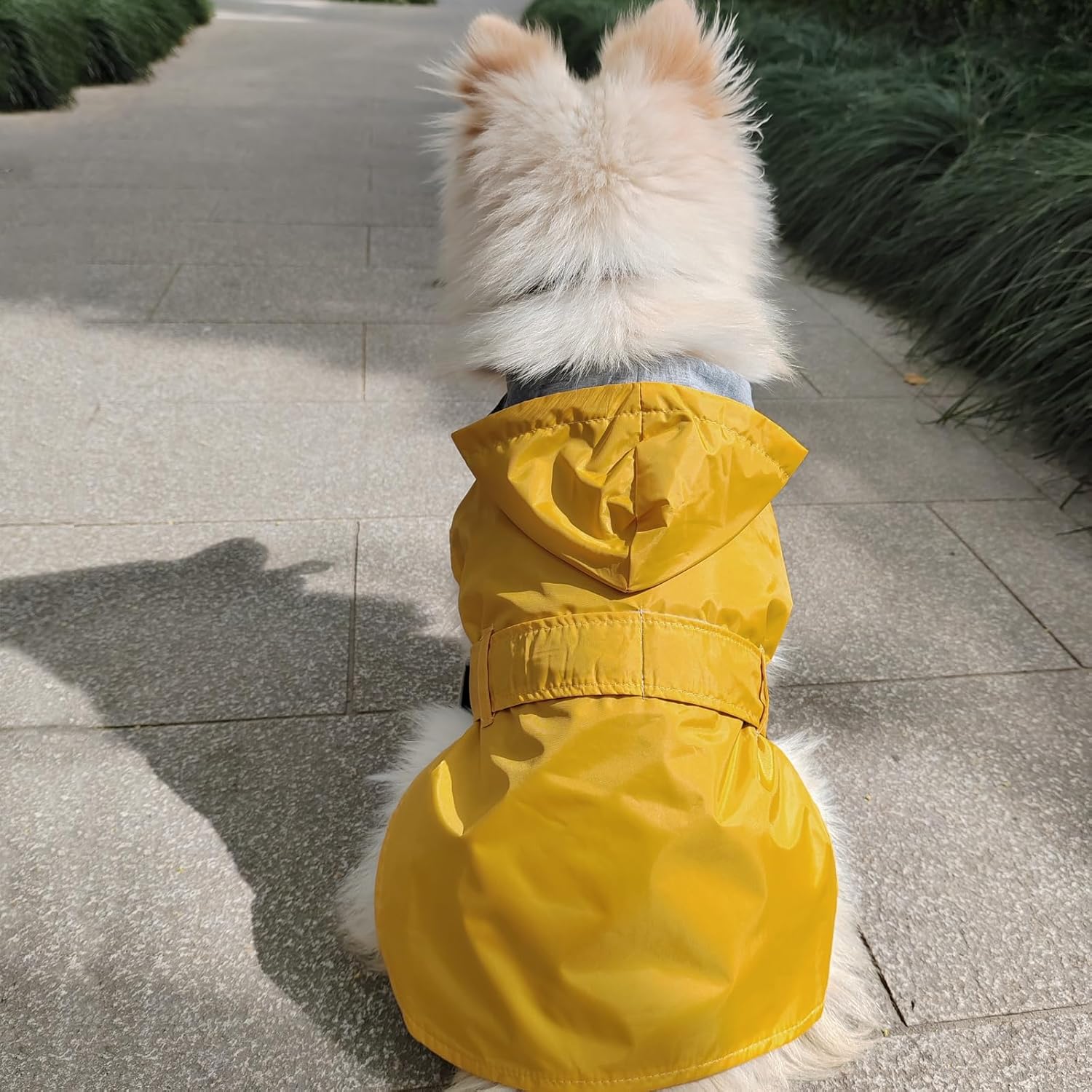 Impermeable para perro, poncho impermeable, ropa para mascotas, con forro de doble capa, agujero para correa, ajustable, para perros pequeños y