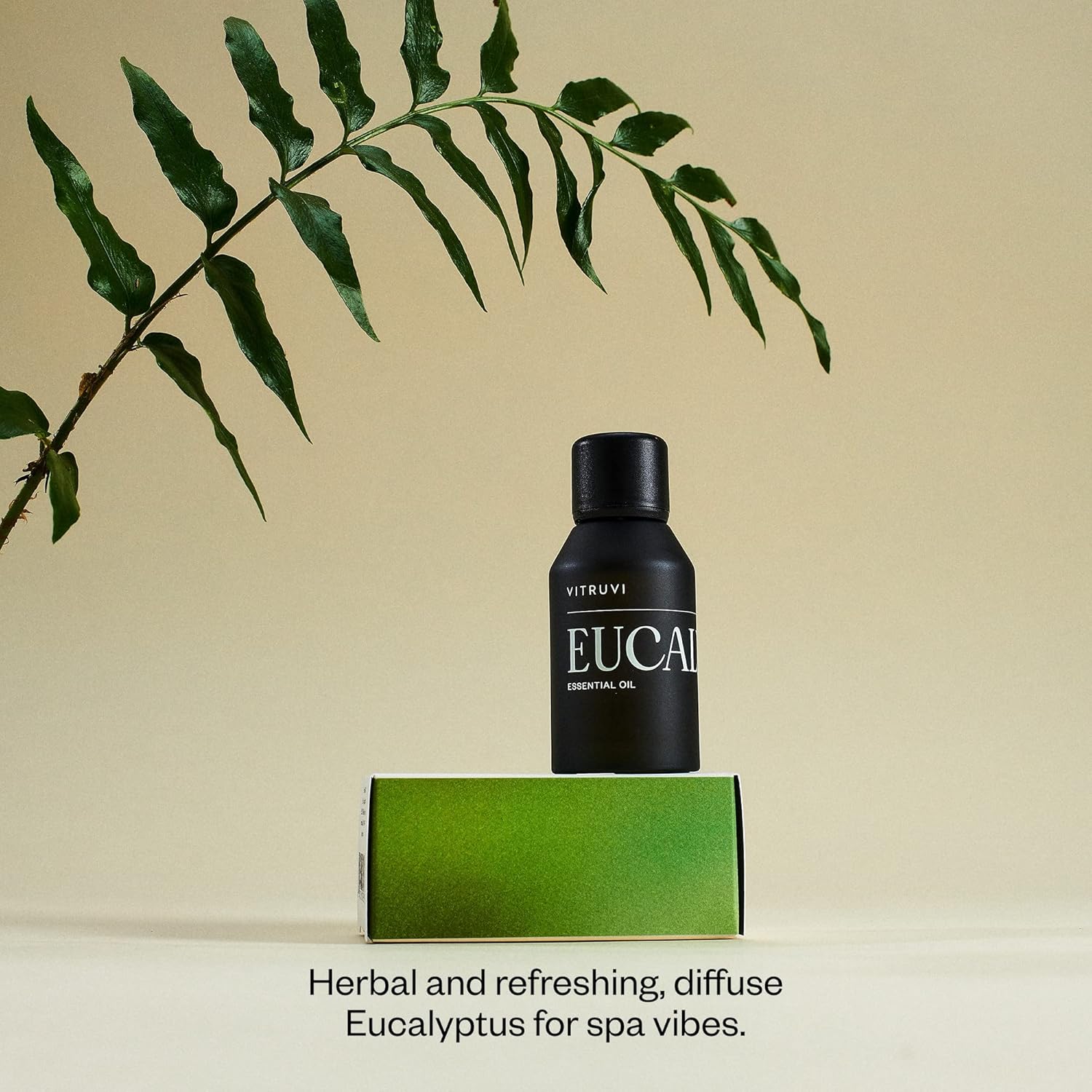 Vitruvi Aceite esencial de eucalipto, 100% puro de primera calidad (1.0 onzas líquidas)