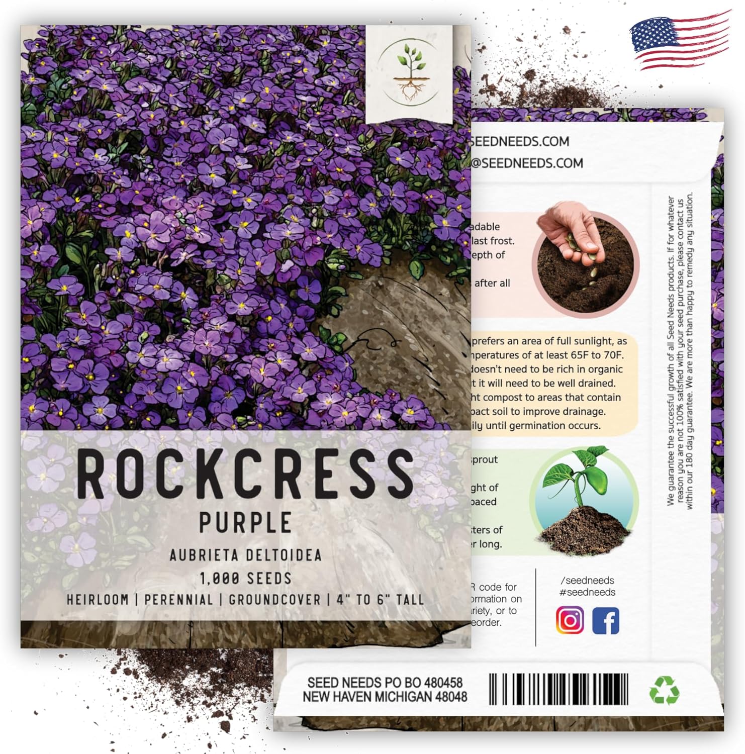 Seed Needs, Purple Rockcress Seeds  1000 semillas de reliquia para plantar Aubrieta deltoidea  Flor perenne ideal para jardines de rocas, cubierta