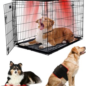 iKeener Dispositivo de terapia con láser frío para perros y seres humanos, terapia de luz roja para perros, terapia láser para mascotas con 128 iKeener Dispositivo de terapia con láser frío para perros y seres humanos, terapia de luz roja para perros, terapia láser para mascotas con 128