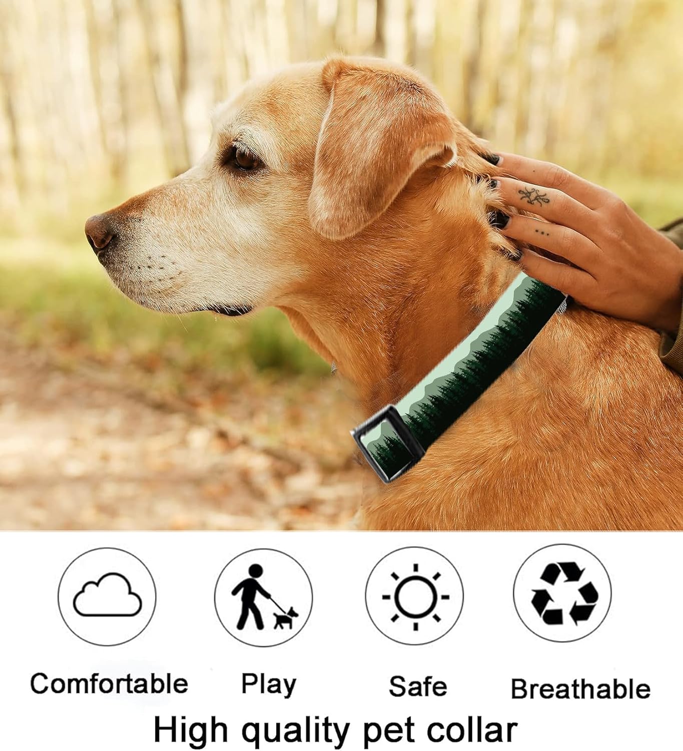 SXboxing Collar de perro, lindo collar de perro para perros pequeños, medianos y grandes, collares suaves personalizados ajustables para mascotas