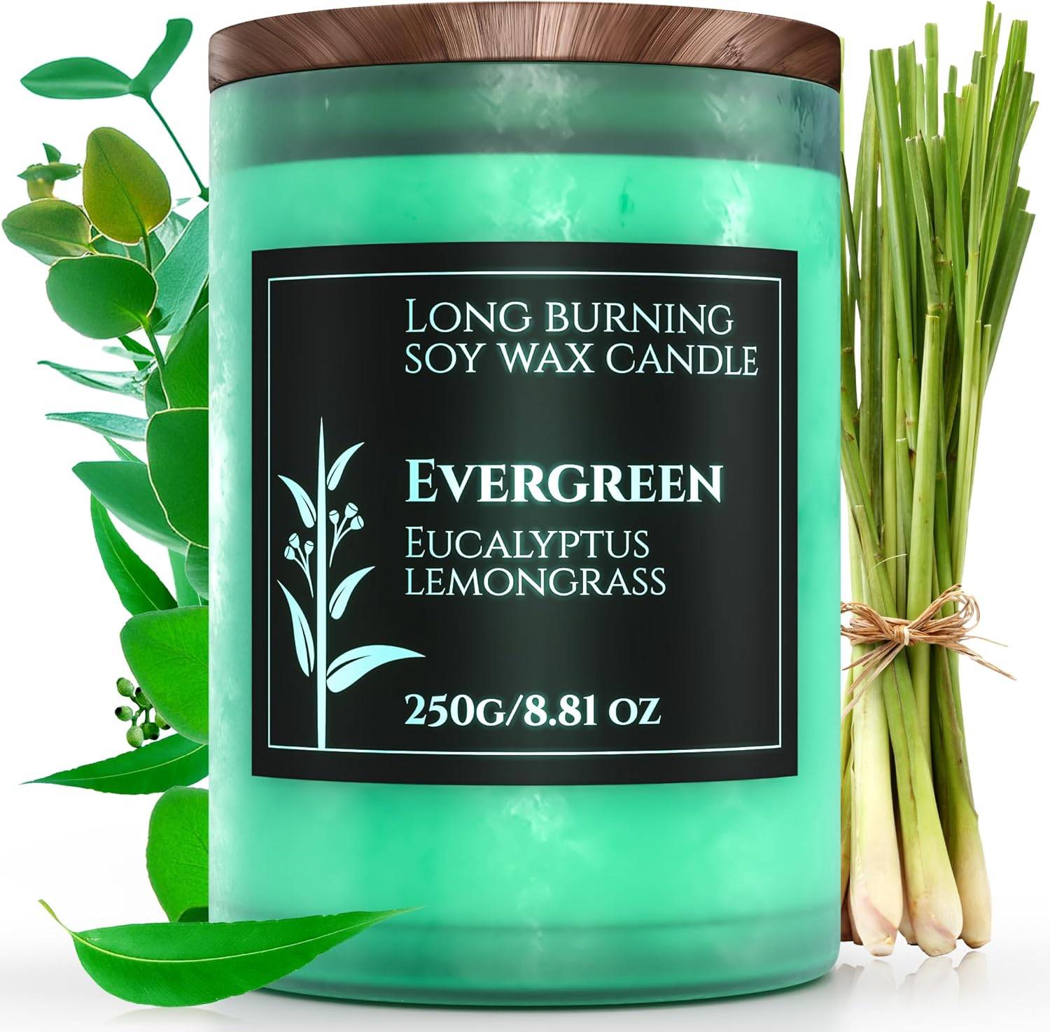 Evergreen – Vela perfumada de citronela y eucalipto, vela perfumada para aliviar la ansiedad y el estrés, tiempo de combustión de 60 horas,