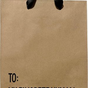 Bolsas de regalo divertidas, bolsa de regalo de papel kraft de tamaño mediano con asas de cinta negra, bolsas de regalo novedosas, bolsa de regalo Bolsas de regalo divertidas, bolsa de regalo de papel kraft de tamaño mediano con asas de cinta negra, bolsas de regalo novedosas, bolsa de regalo