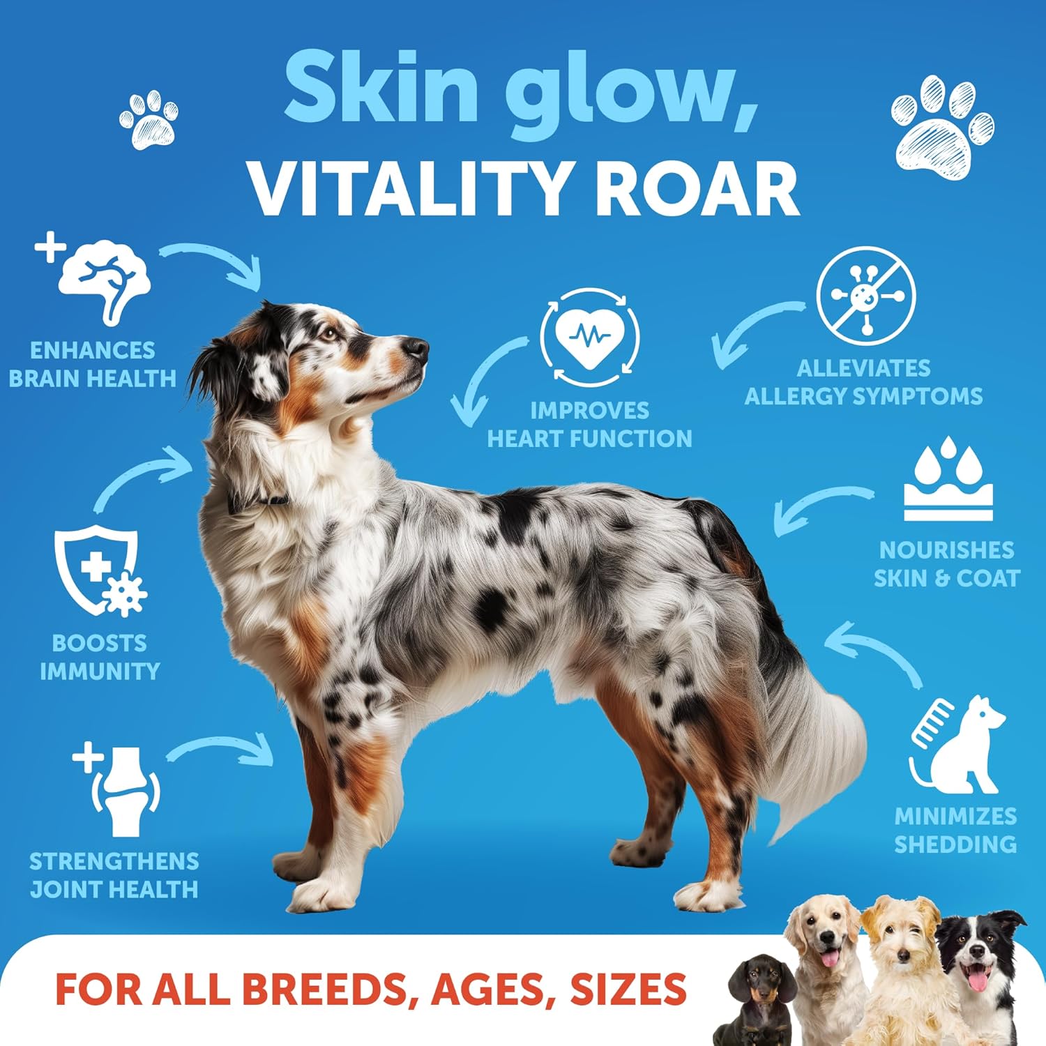 Aceite de salmón silvestre de Alaska para perros, aceite de salmón para piel y pelaje de perros, aceite de salmón líquido para alimentos, aceite de