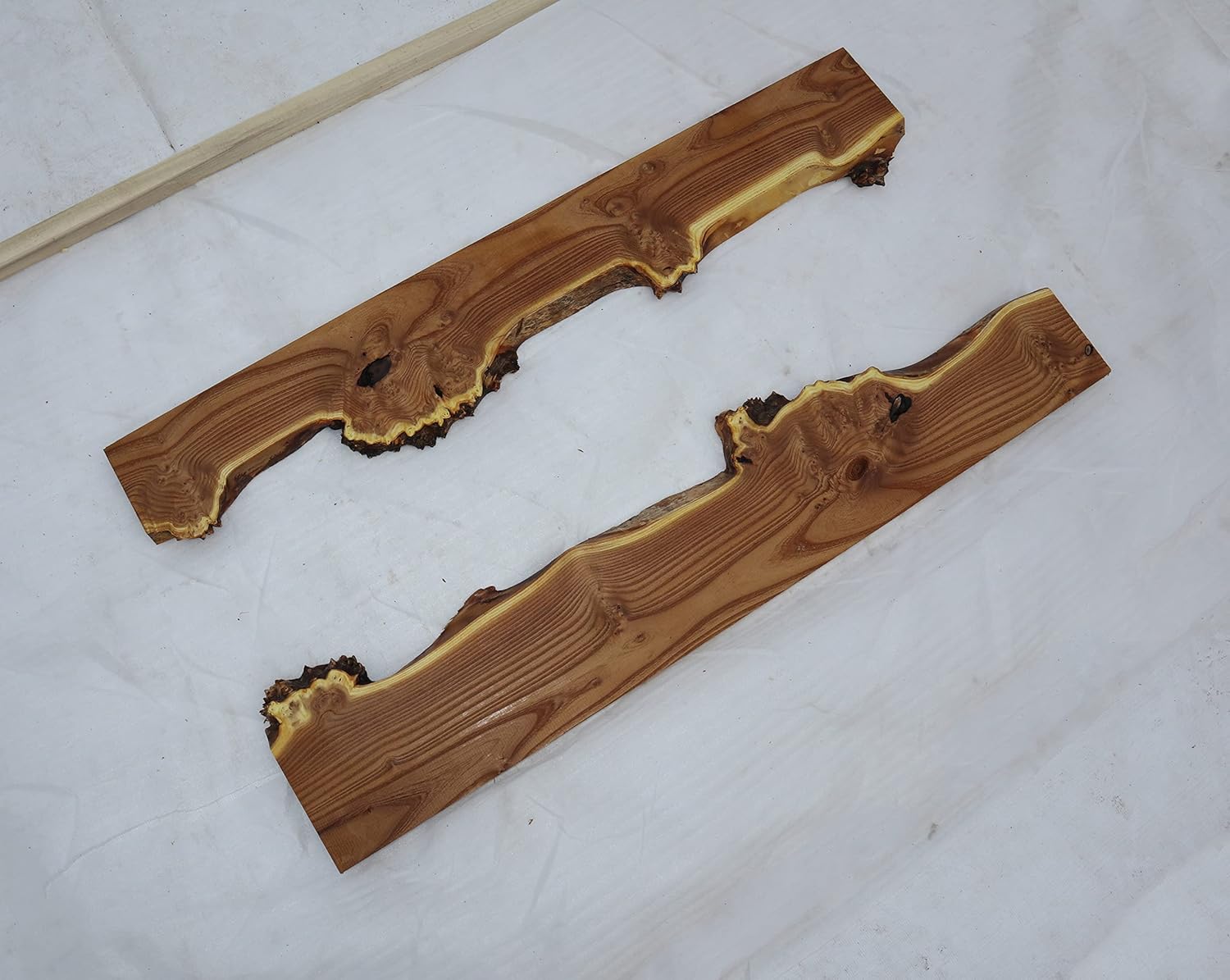 Live Edge – Losas semiprocesadas de madera de oliva rusa con borde vivo para proyectos de madera, estantes o mesas de café de río epoxi, etc. Set