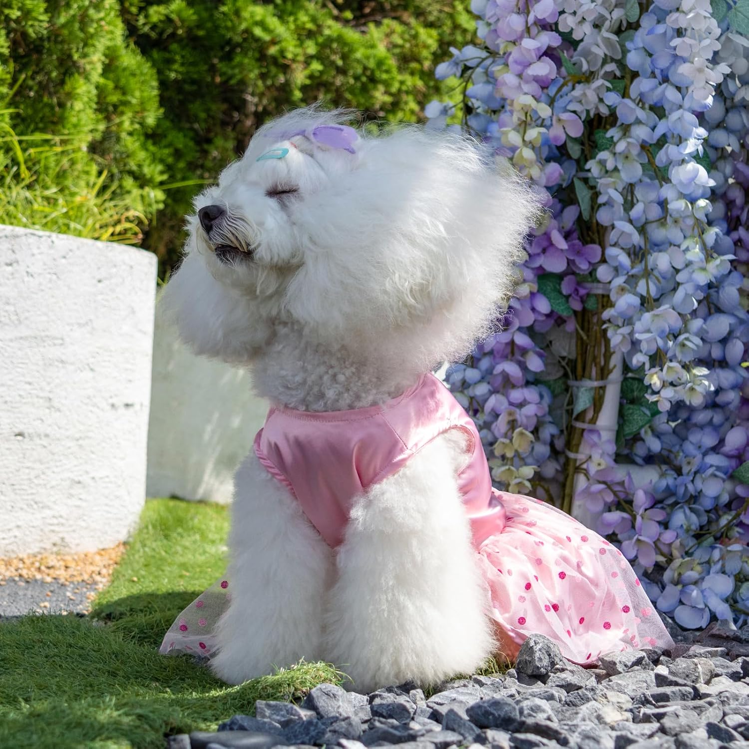 CuteBone Vestido de cumpleaños para niña, ropa de princesa, disfraz de gato, ropa para perros pequeños, traje de mascota DD20S