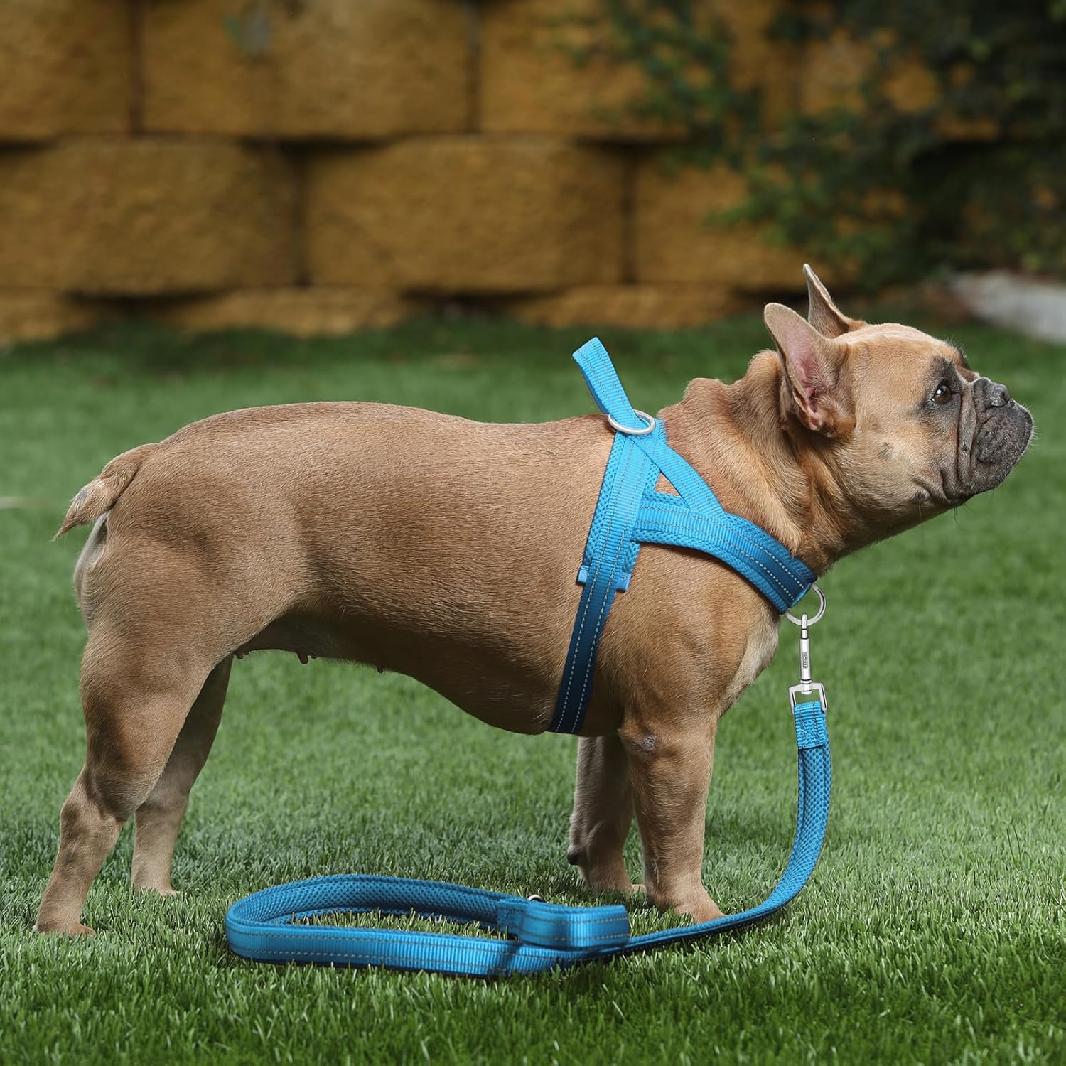 Plutus Pet Arnés sin tirones para perro, con acolchado de malla transpirable, arnés reflectante ajustable a prueba de escapes, arnés de chaleco de