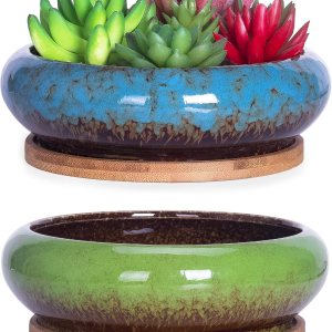 ARTKETTY Macetas para suculentas de 7.3 pulgadas con drenaje, paquete de 2, macetas de bonsái poco profundas con bandeja de cerámica para plantas de ARTKETTY Macetas para suculentas de 7.3 pulgadas con drenaje, paquete de 2, macetas de bonsái poco profundas con bandeja de cerámica para plantas de