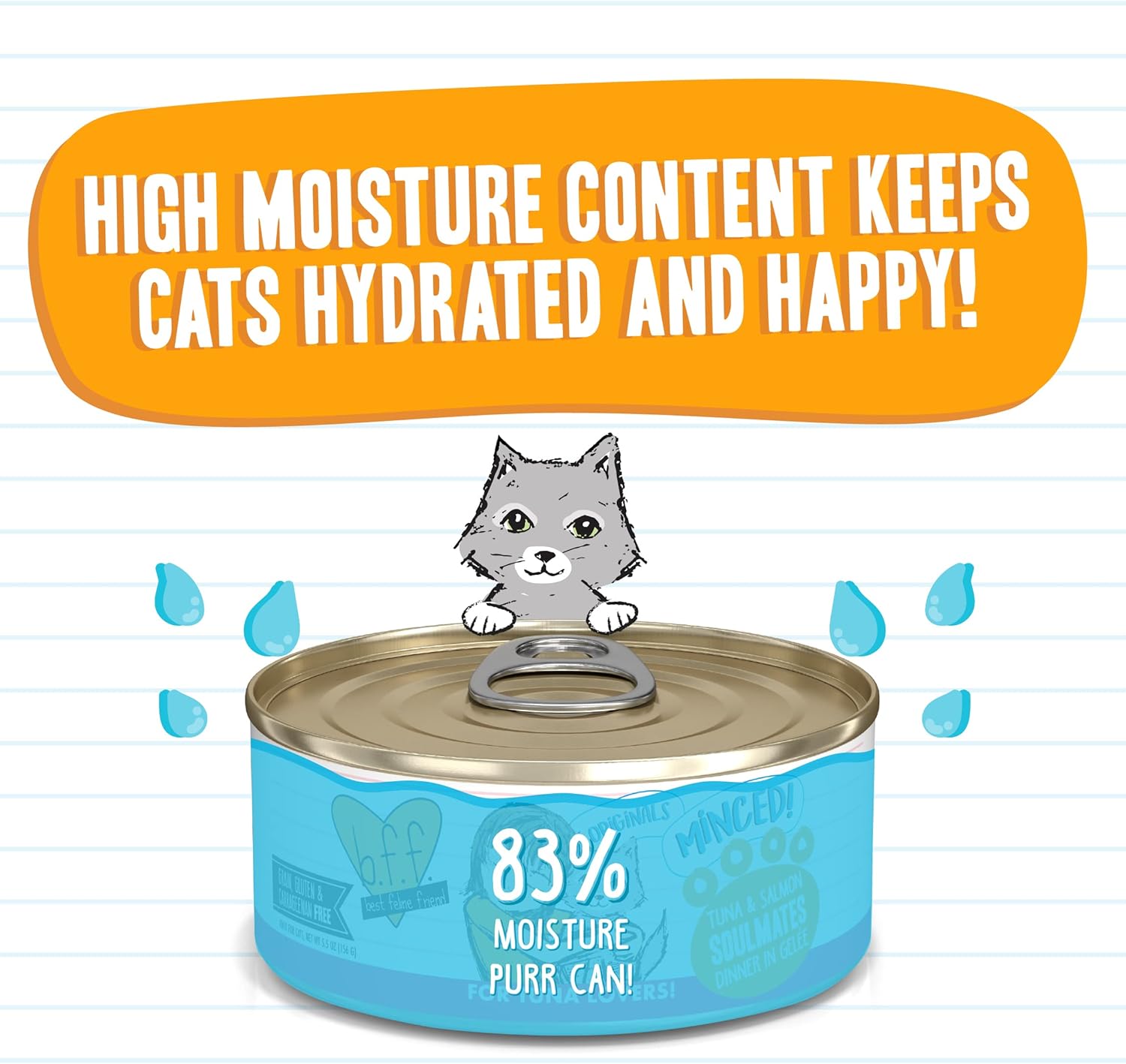 Weruva latas de comida húmeda para gatos sin granos y bolsas B.F.F. (Best Feline Friend)
