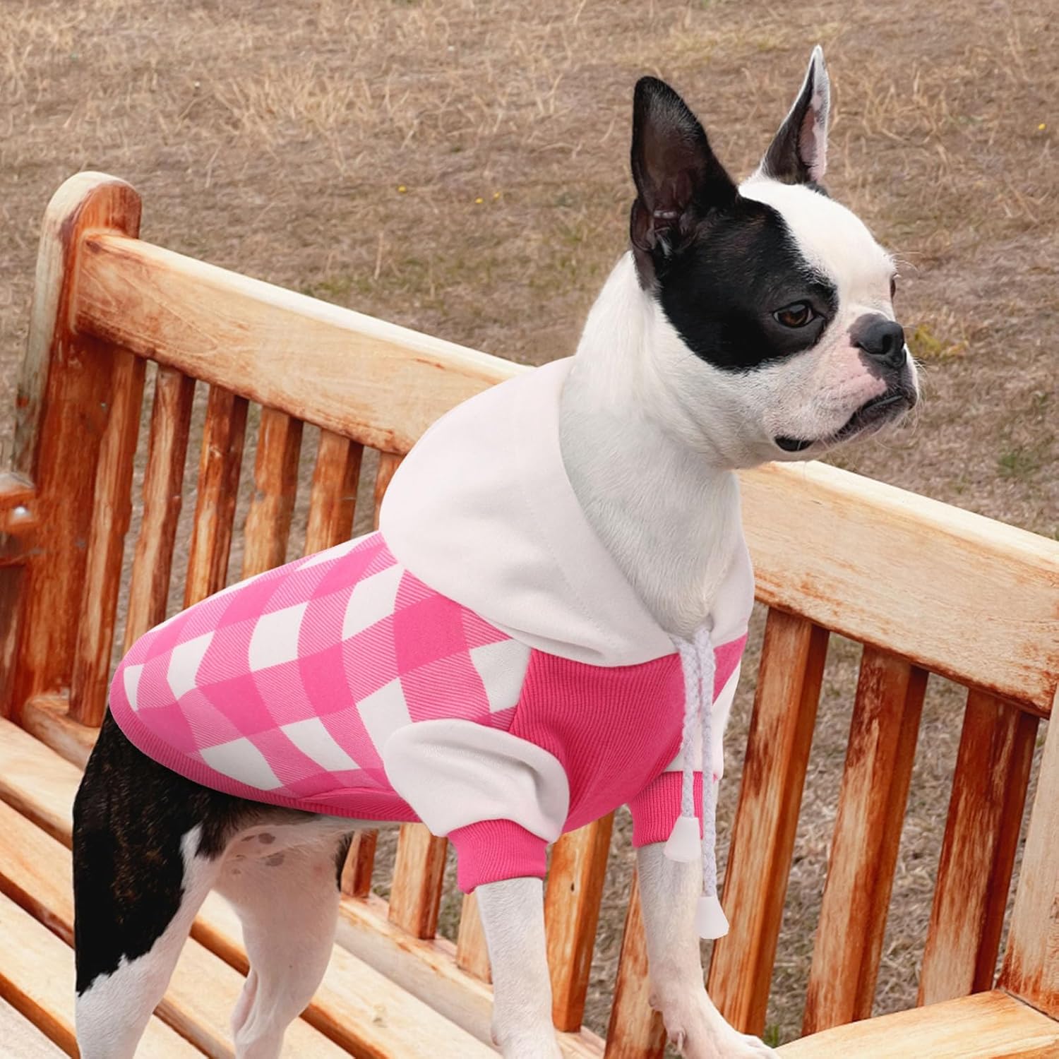Sudadera con capucha a cuadros para perro, sudadera suave para perro, sudaderas con capucha de forro polar cálido para perros pequeños, suéteres con