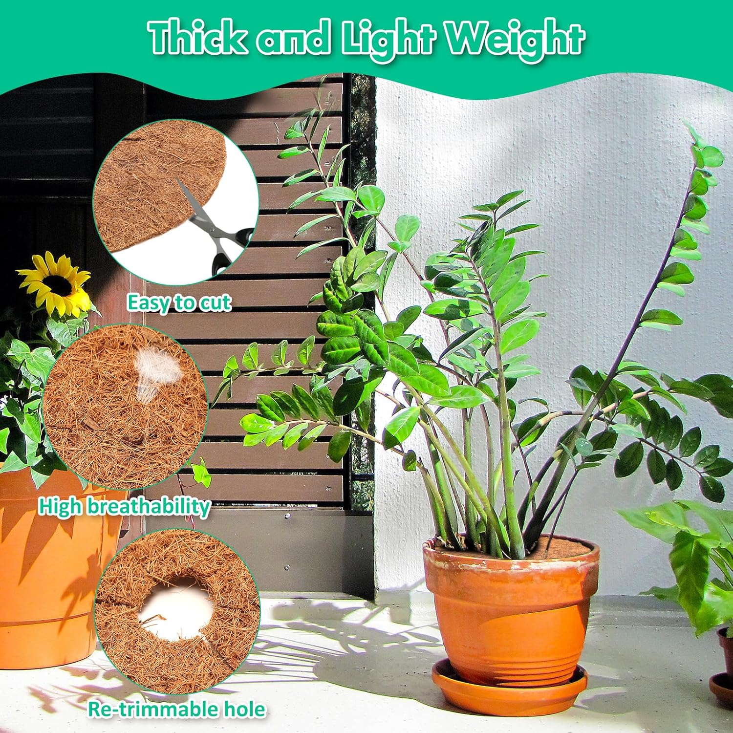 Tapete de fibra de coco, 3 unidades de 12 pulgadas, protector de árbol de coco de coco natural, protección de árbol de coco natural, tapete de