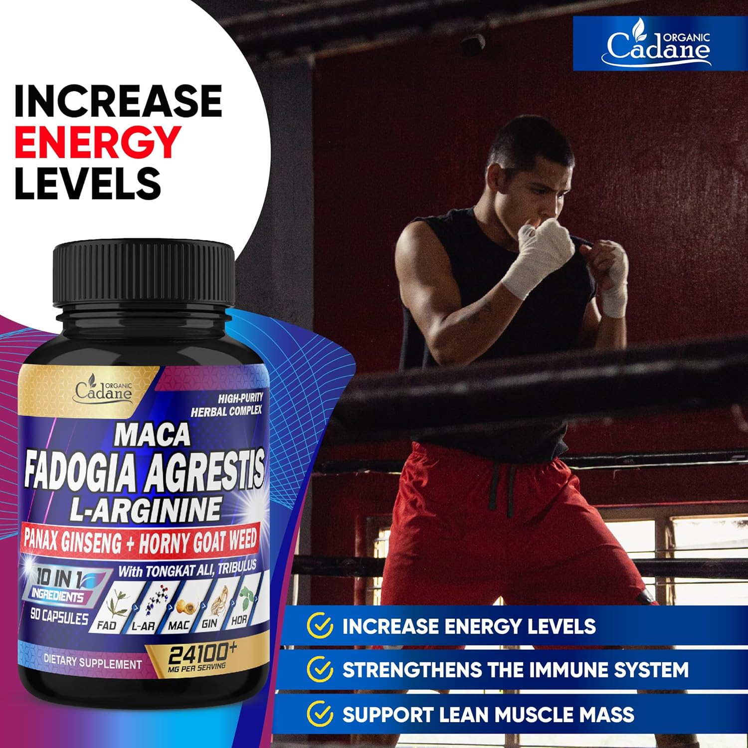 Fadogia Agrestis Suplemento 24100mg  Pre-entrenamiento, producción de energía y apoyo al sistema inmunológico  10 en 1 concentrado con L-Arginina,