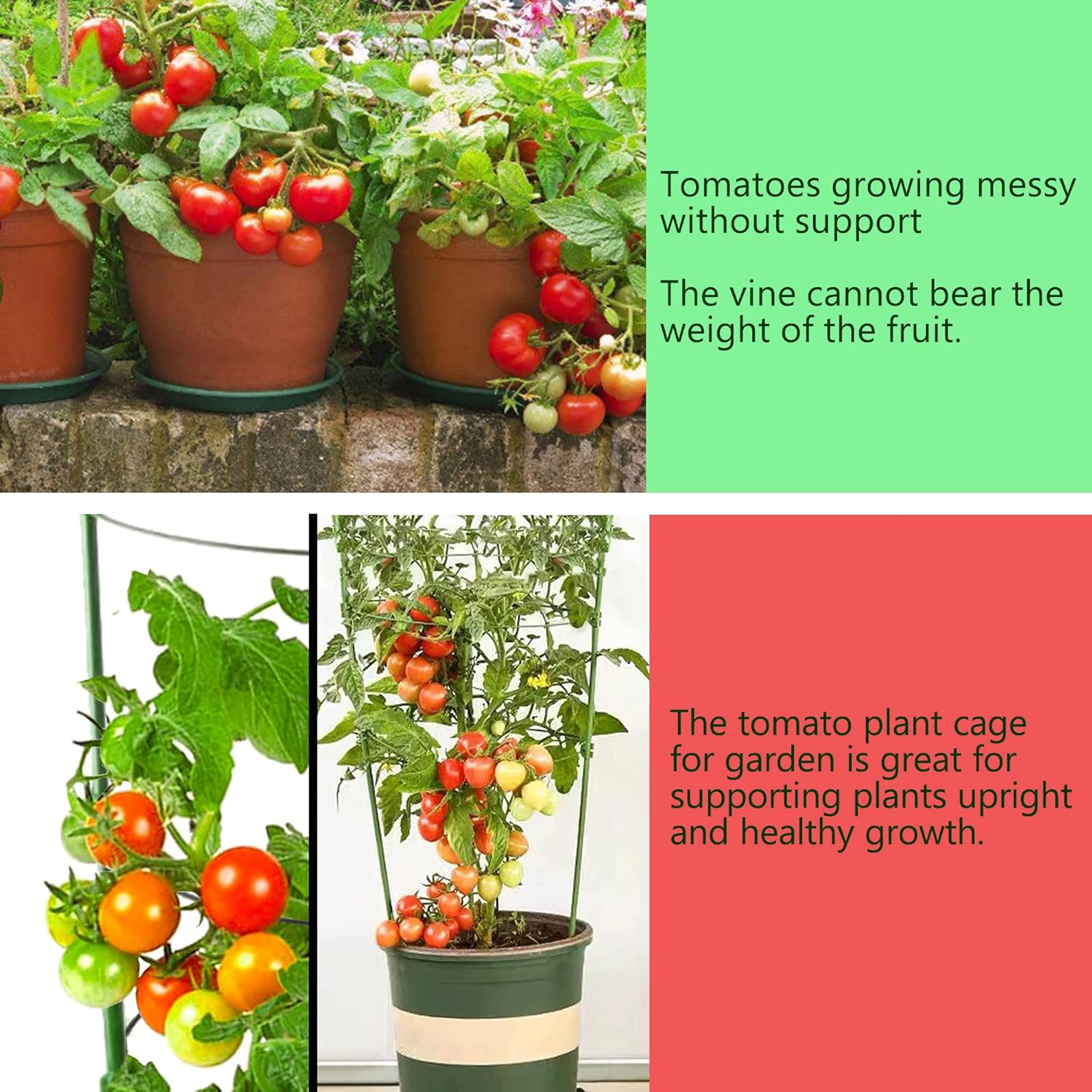 Jaula de tomate para jardín, paquete de 4 jaulas de jardín de enrejado de tomate de 18 pulgadas con 3 anillos ajustables, estacas para plantas
