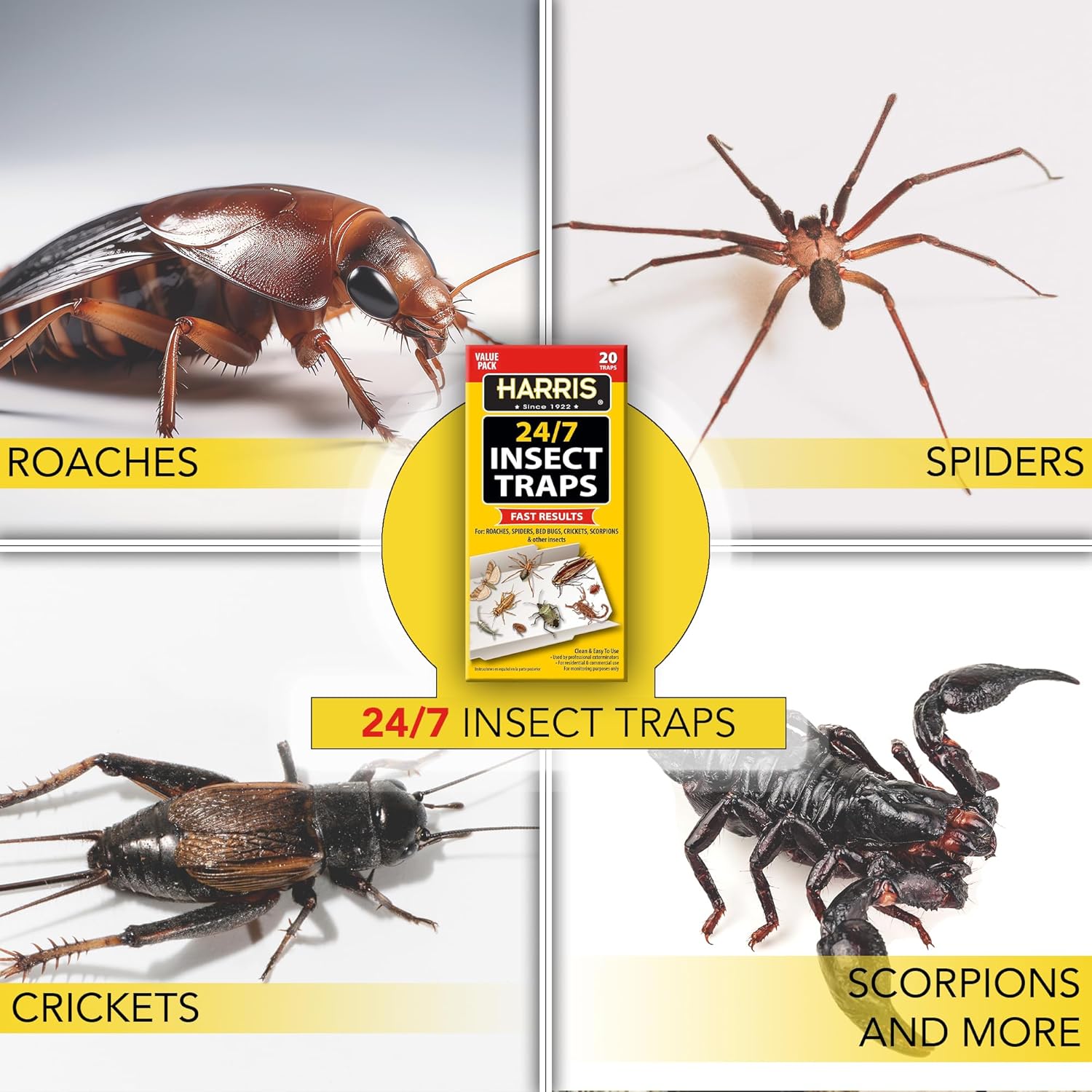 Harris Trampa para insectos 247 para cucarachas, arañas, chinches, grillos, escorpiones y más, paquete de 20 unidades