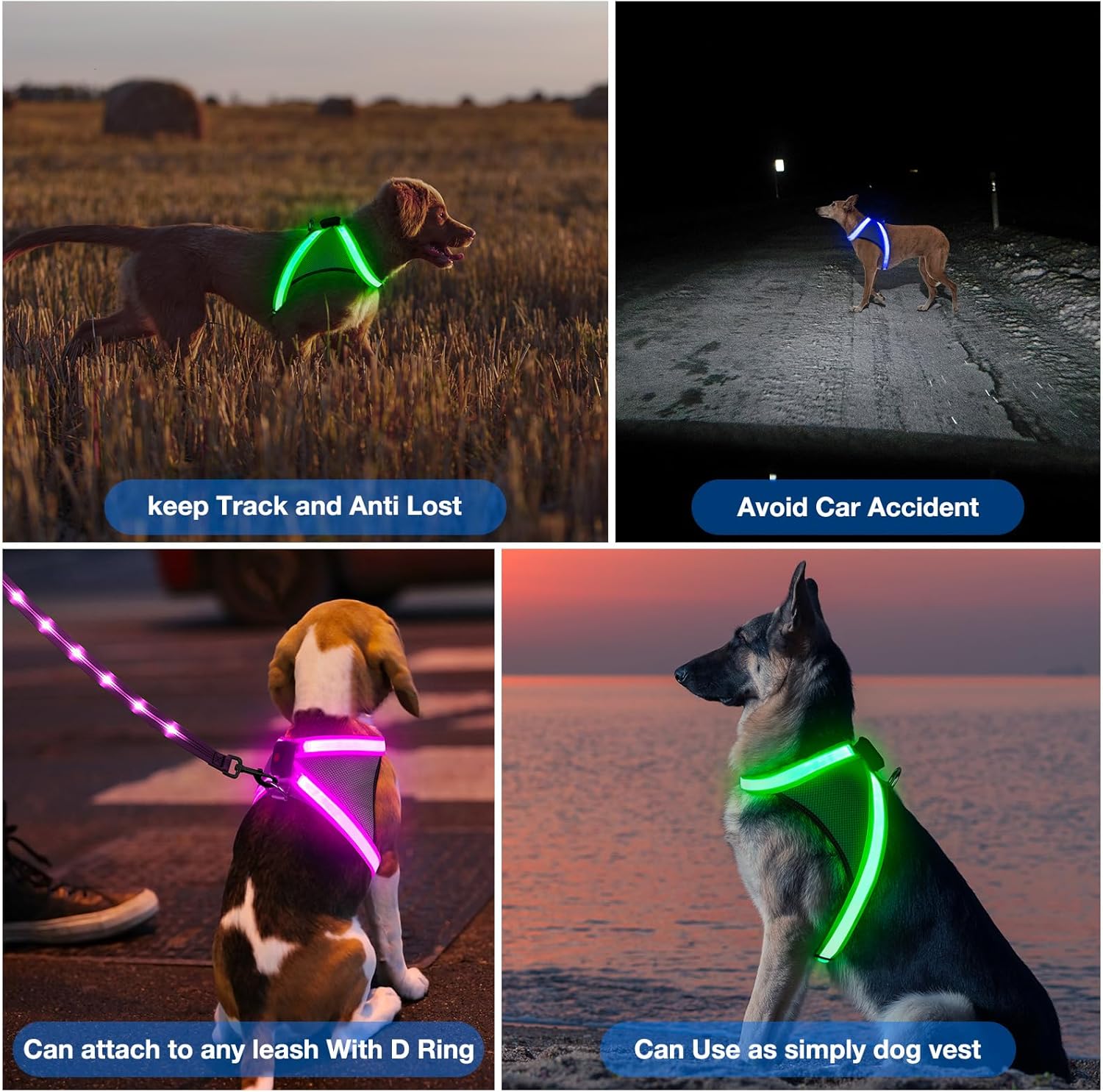 ChalkLit Arnés para perro con luces LED, sin tirones, que brilla en la oscuridad para caminar por la noche, chaleco de seguridad con luz recargable