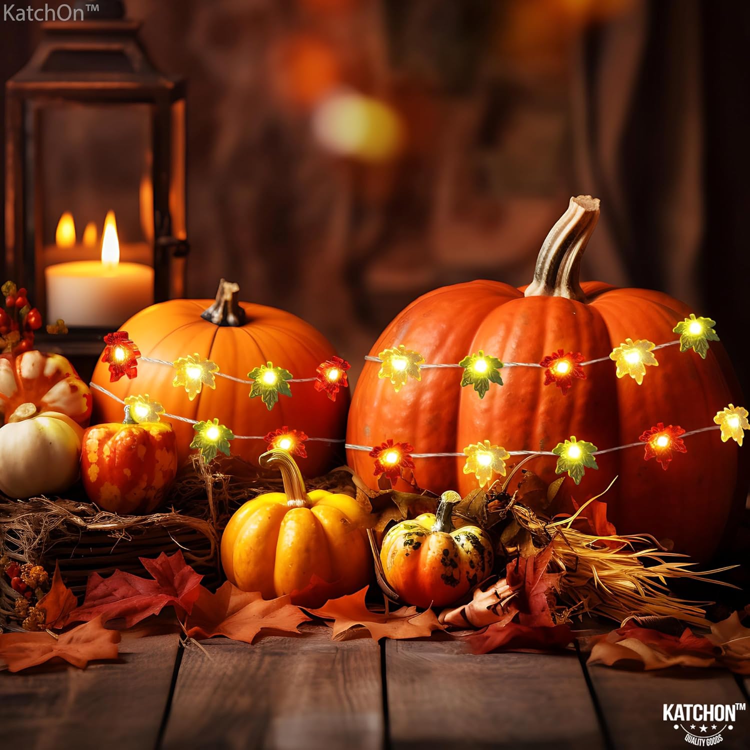 KatchOn, Guirnalda de luces de Acción de Gracias, 7 pies, 20 LED, 8 modos de luz, luces de otoño 3D que funcionan con pilas, luces de hadas con