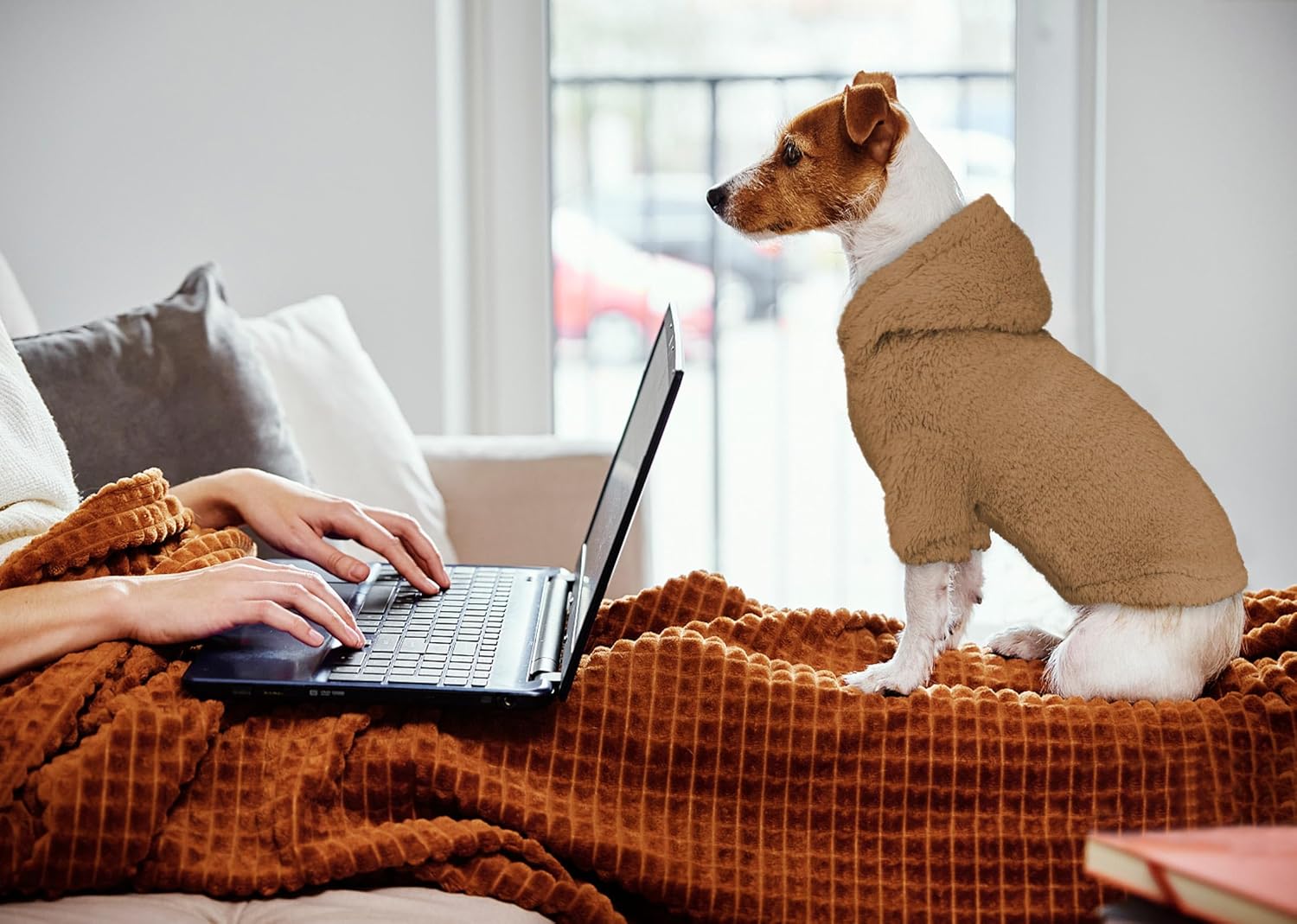Suéteres mullidos para perros pequeños, ropa para perro, ropa para perro, abrigos, suaves, acogedores, sudadera con capucha de forro polar para