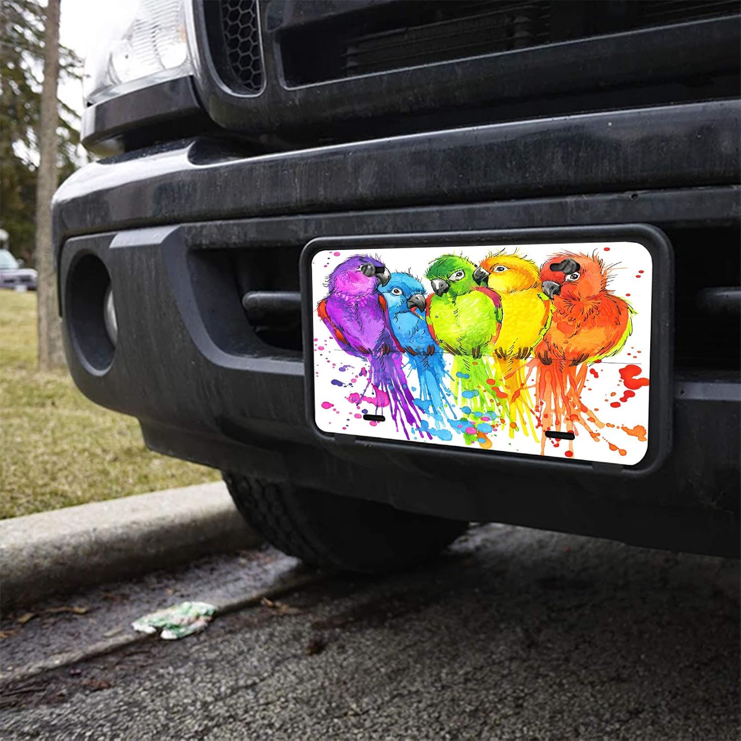 Placa de matrícula decorativa de naturaleza tropical con pájaros lindos, etiqueta de tocador, placa de metal para automóvil, placa de aluminio