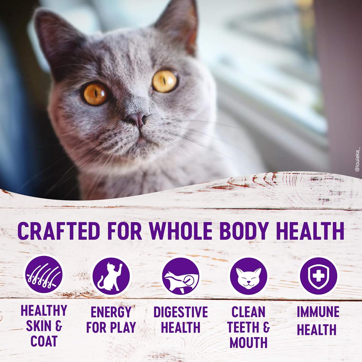 Wellness, Comida Completa para Gatos, Saludable, Natural, Libre de Granos, Seca.