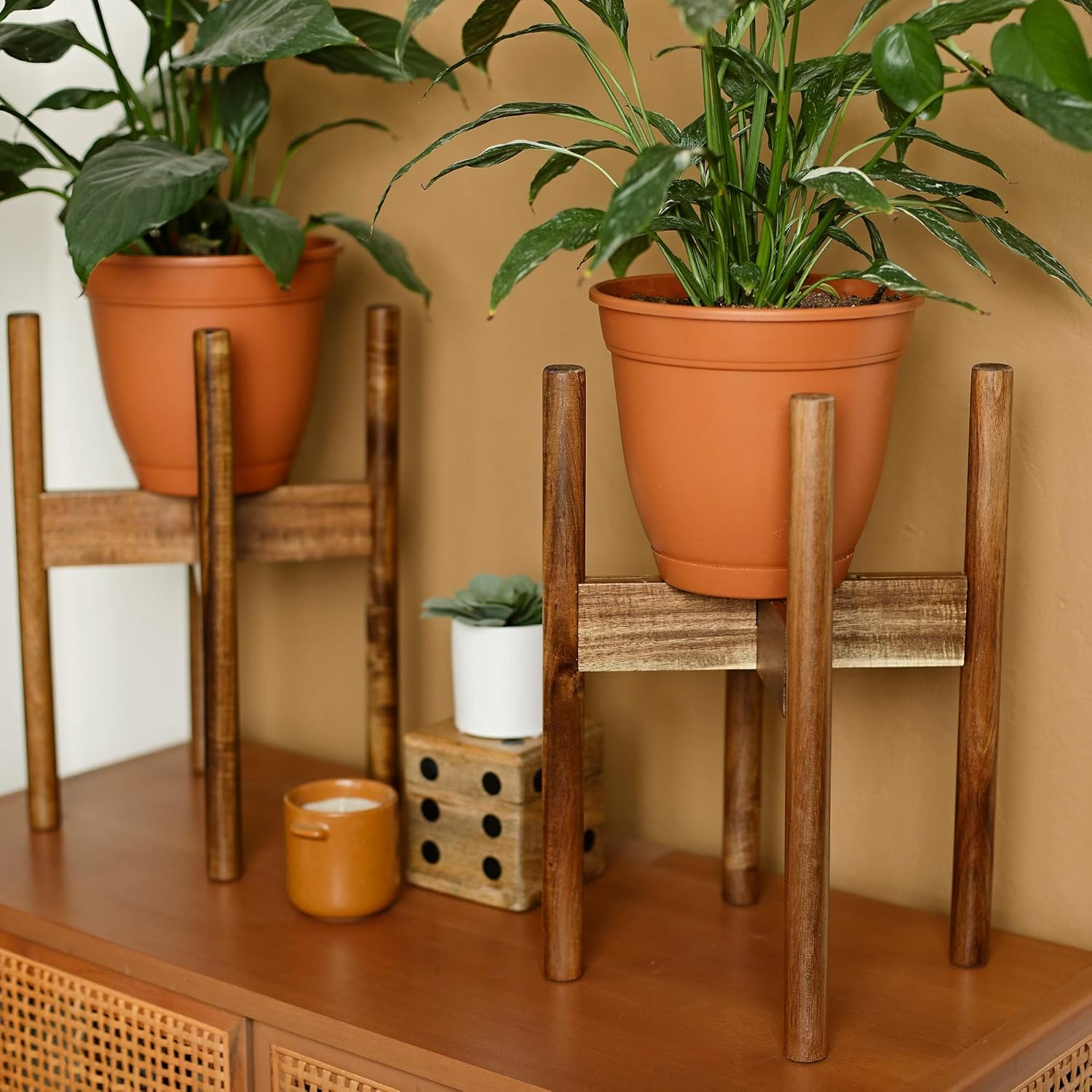 Soporte para plantas de madera dura de acacia, excluyendo maceta, soportes modernos de mediados de siglo para plantas de interior, soporte para