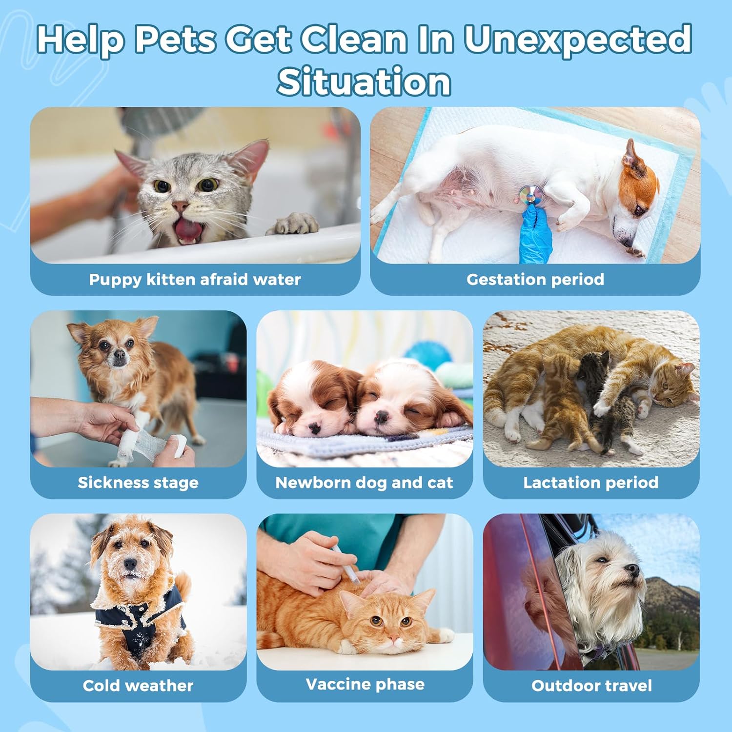 Toallitas de baño para mascotas para perros y gatos, guantes de limpieza y desodorización, toallitas nutritivas para el cuidado diario y viajes, sin