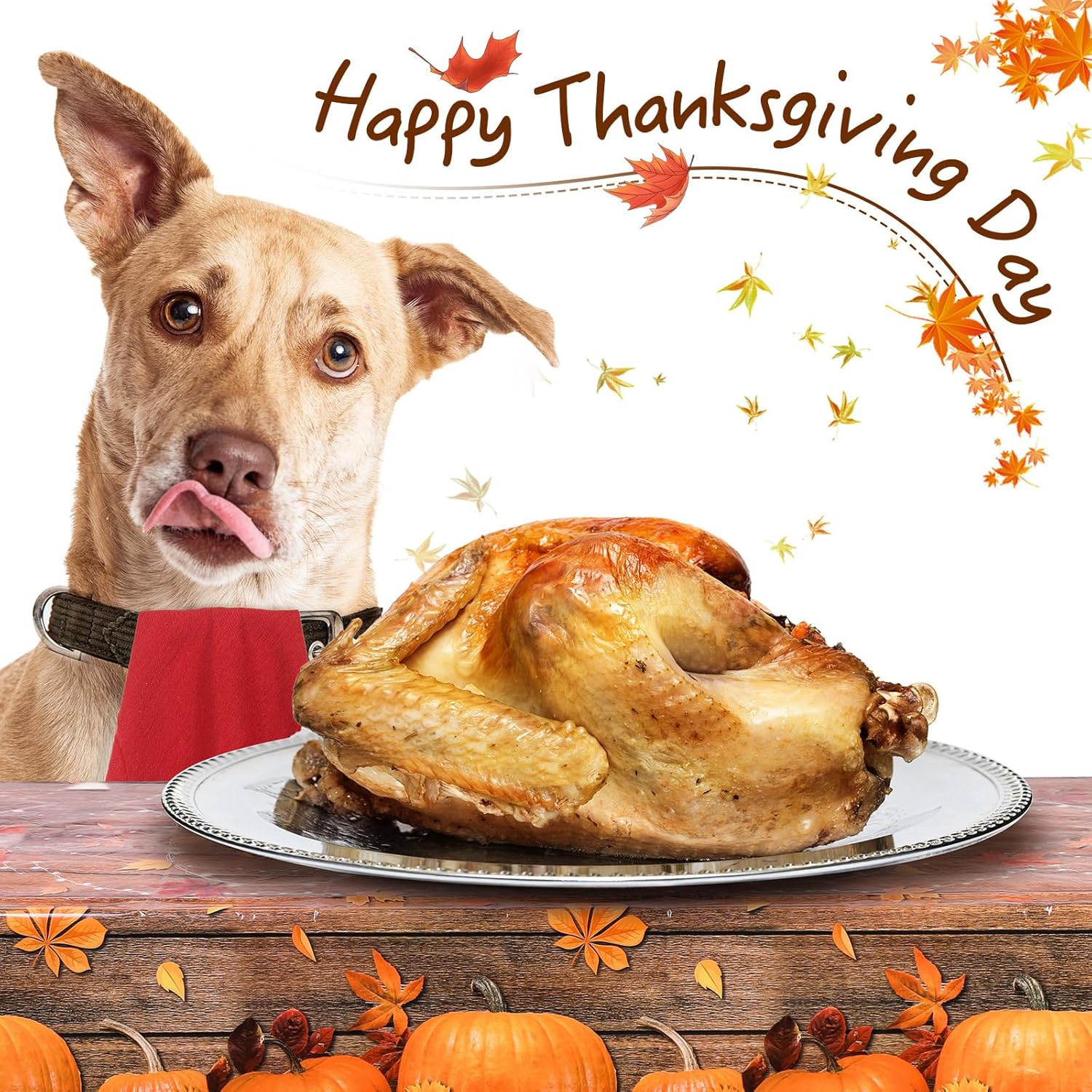 Hosuly 3 manteles de otoño, mantel de plástico desechable con calabaza de Acción de Gracias, funda de plástico para mesa, rectangular, calabaza,