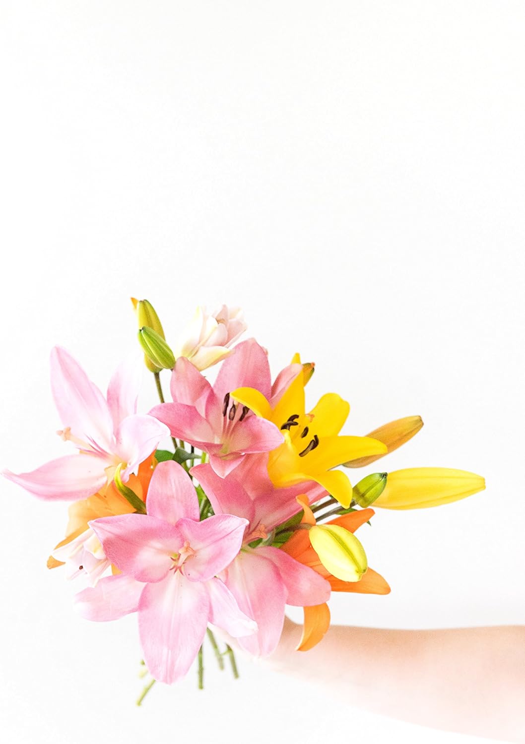 From You Flowers – Impresionante ramo de lirios con florero gratis (flores frescas), cumpleaños, aniversario, recuperarse, condolencias,