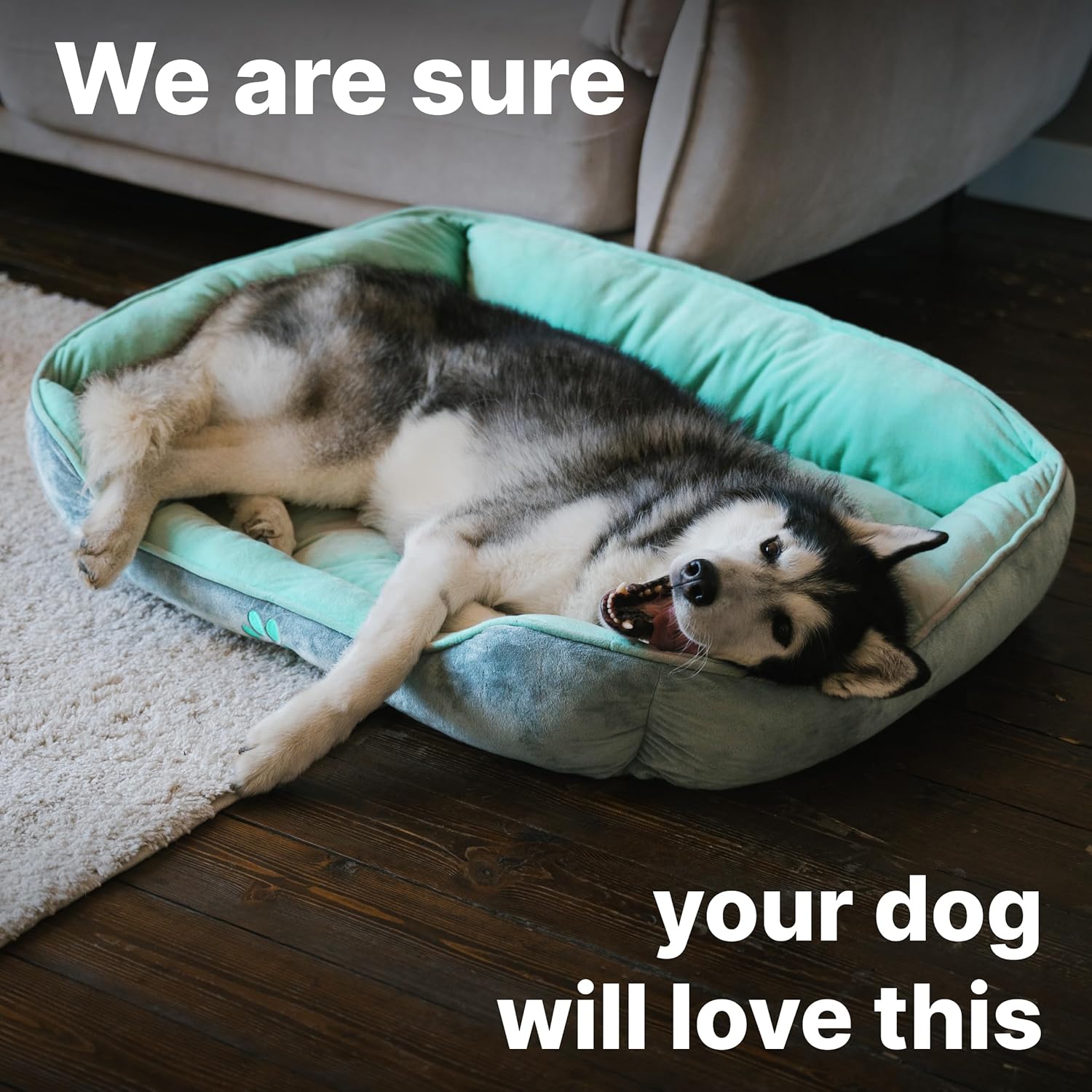 Cama para perros grandes y medianos, 35 x 27 x 6.5 pulgadas, lavable a máquina, sofá cama para mascotas con forro impermeable, funda extraíble y