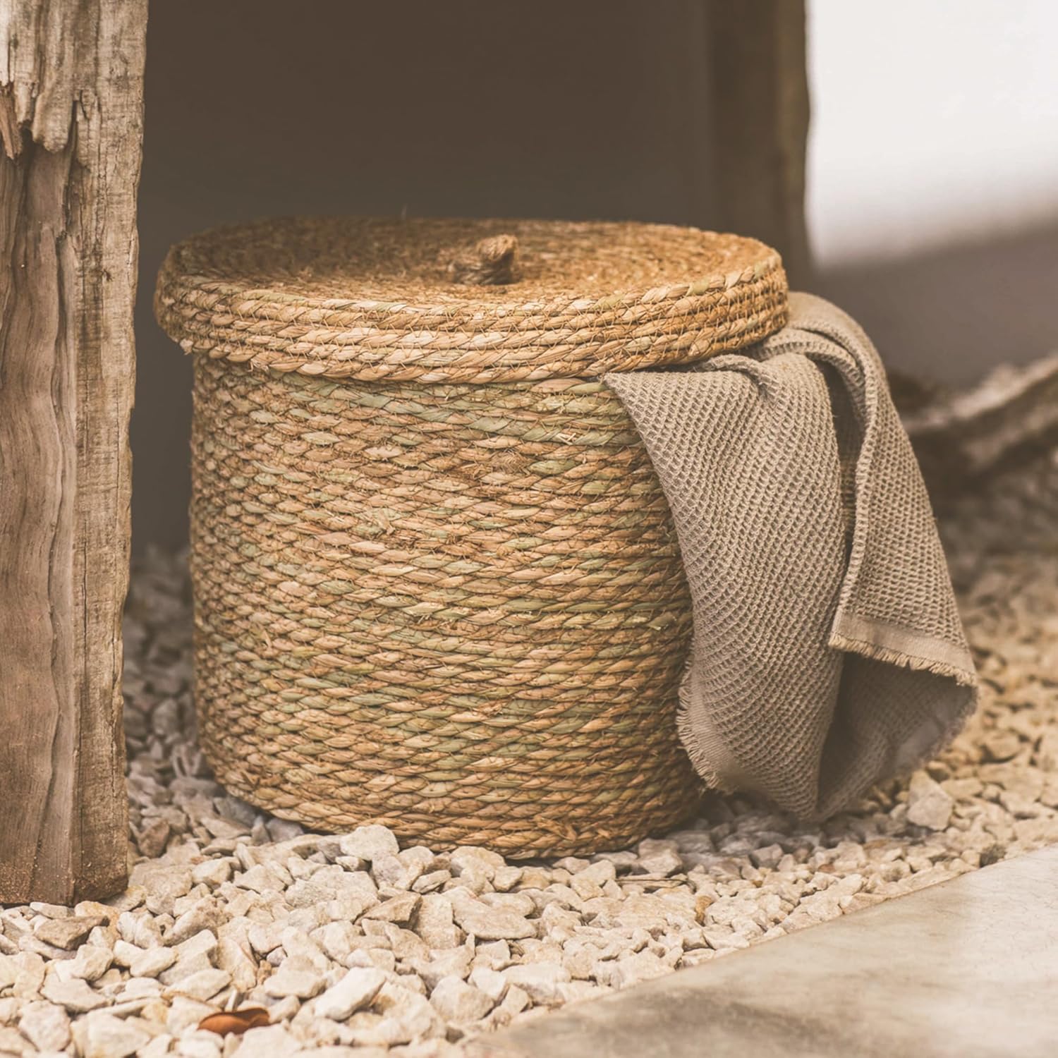 Cesta artesanal de algas marinas con tapa. Cestas decorativas para almacenamiento. Cesta de cuerda natural con tapa. Cestas tejidas de pastos