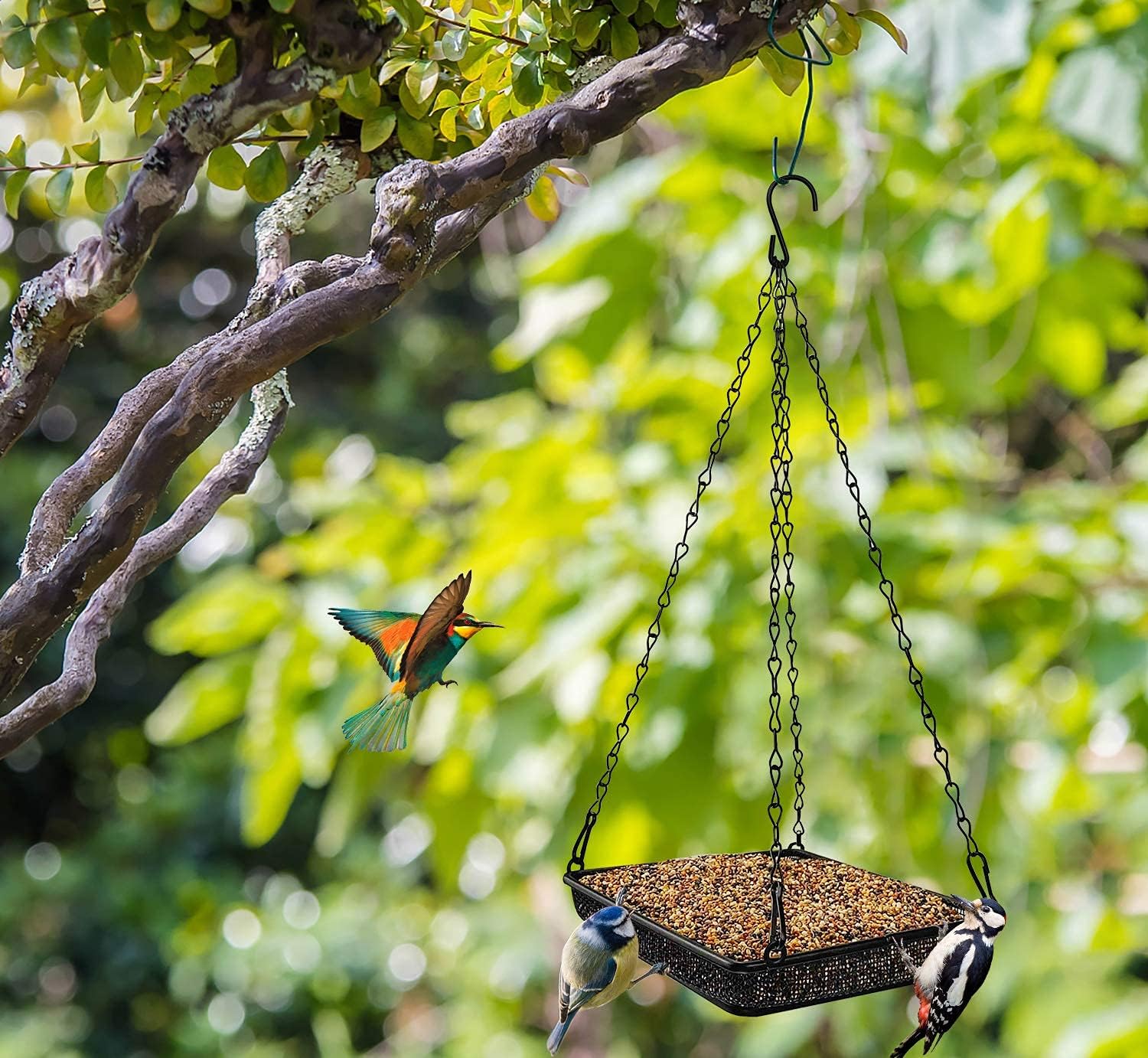 MIXXIDEA Bandeja colgante para pájaros con plataforma de malla metálica con cadenas duraderas para jardín al aire libre, ideal para atraer pájaros
