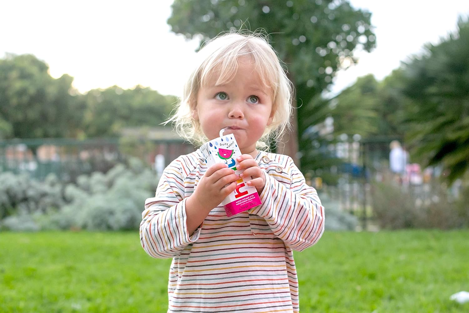 Hint Kids Agua de sabores surtidos sin azúcar sin endulzantes dietéticos 6.75 oz (caja con 32)