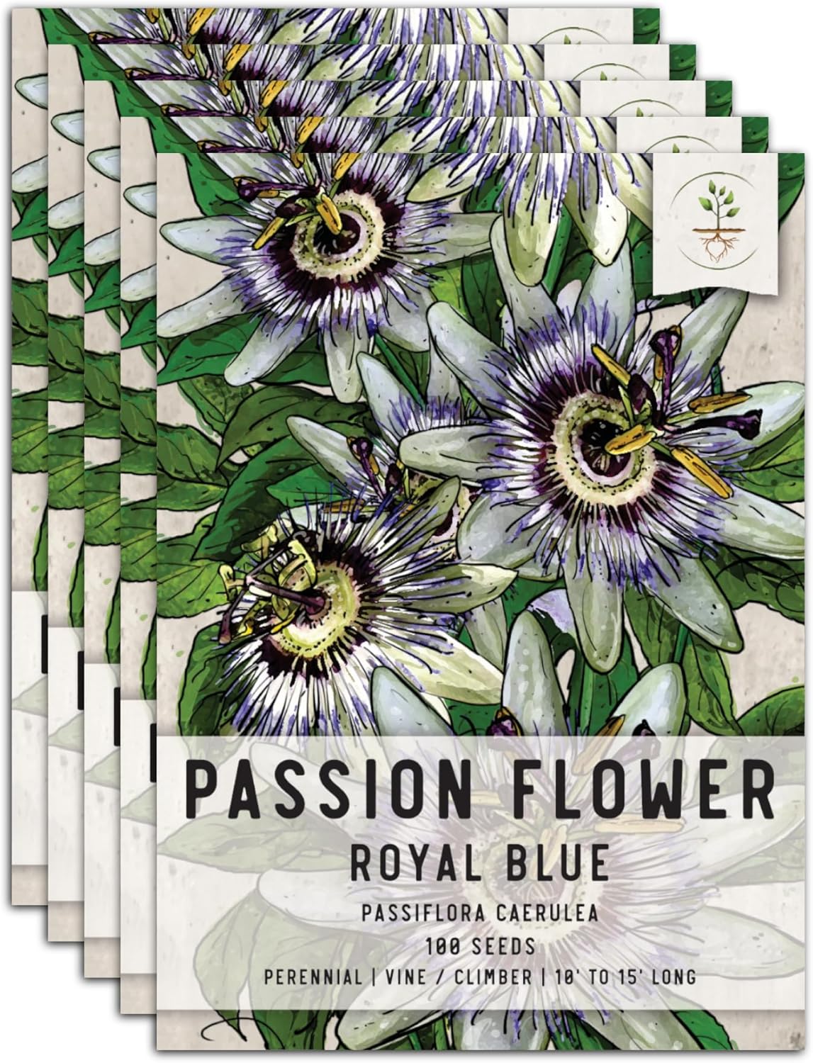 Seed Needs, Royal Blue Semillas de flor de la pasión  100 semillas tradicionales para plantar passiflora caerulea  vid tropical polinizada abierta
