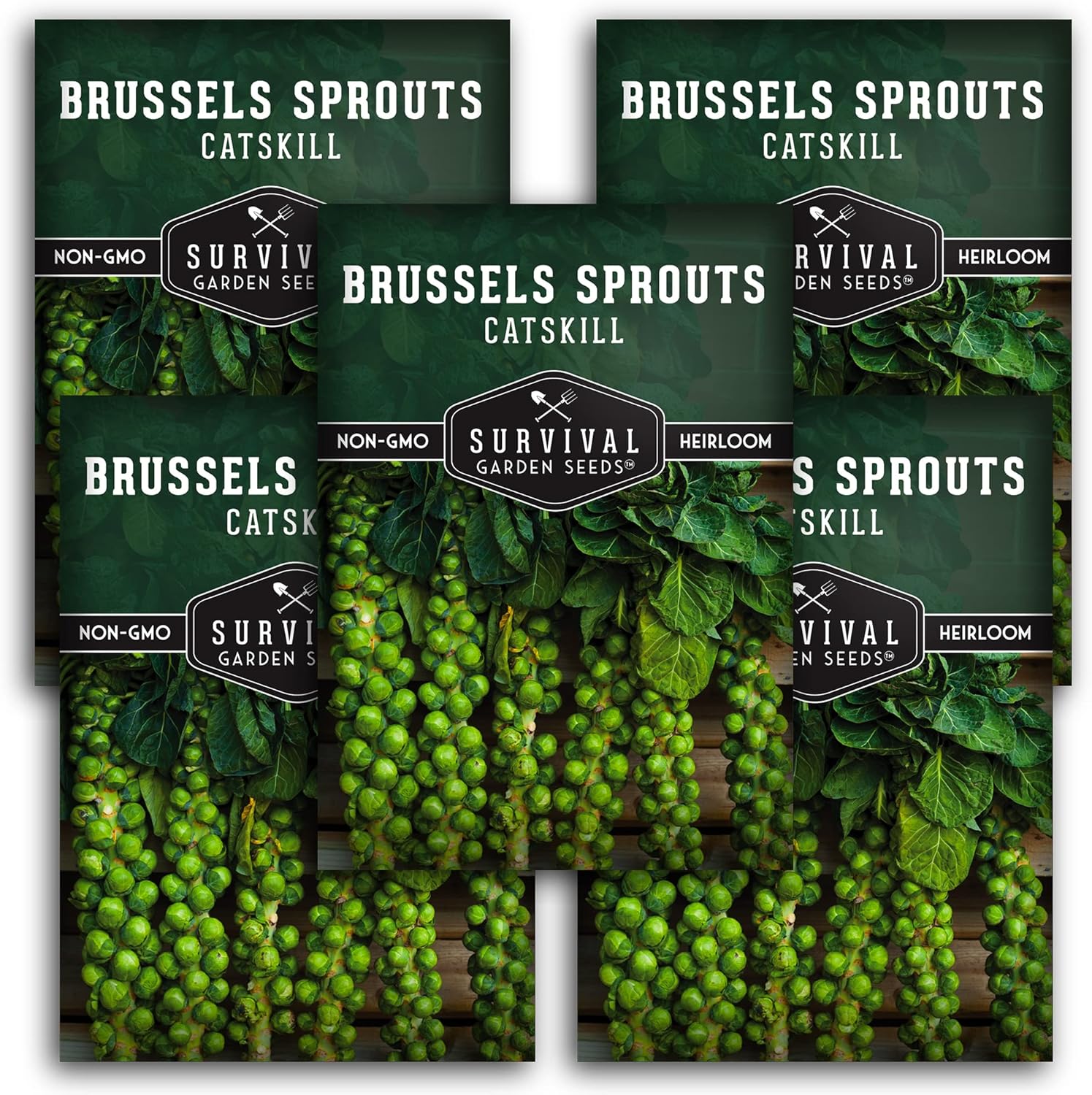 Survival Garden Seeds – Semillas de coles de Bruselas Catskill para plantar – 5 paquetes con instrucciones para plantar y cultivar sabrosas verduras