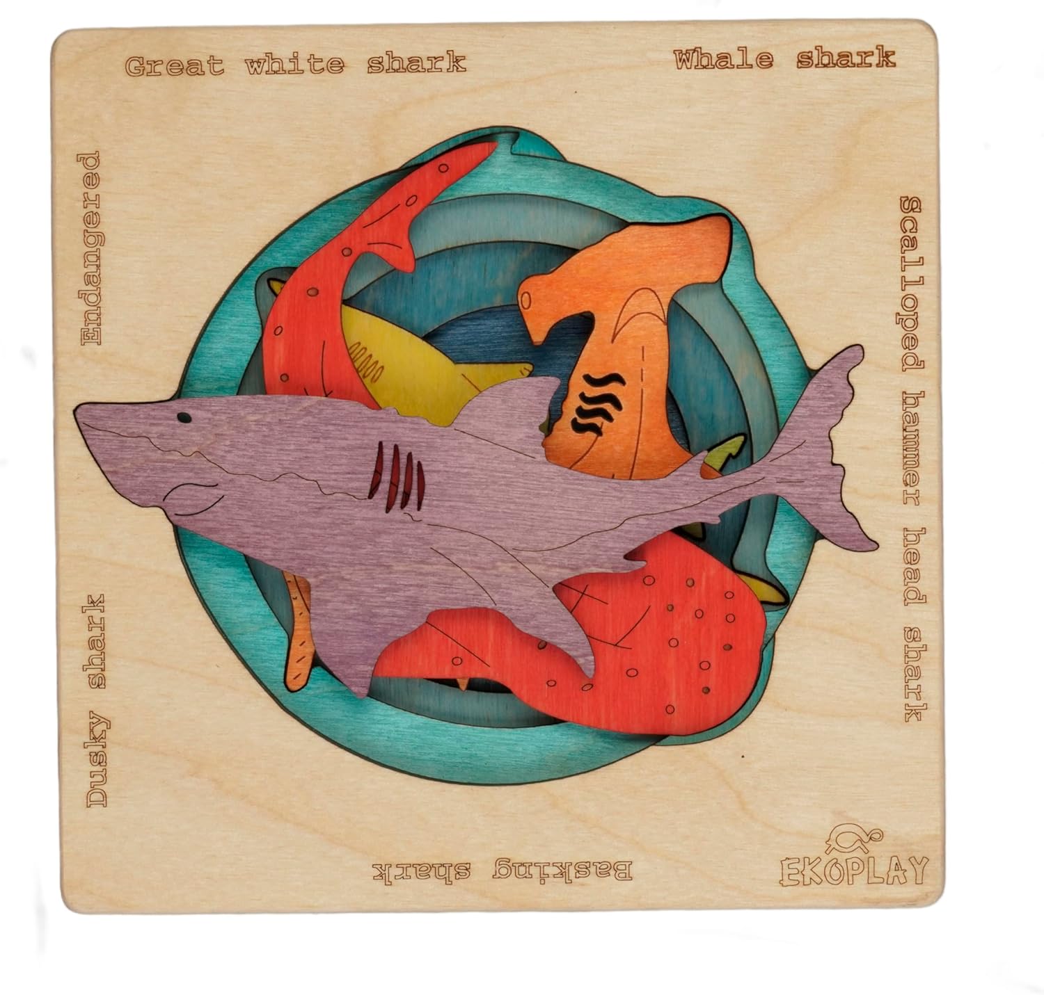 Tiburones en peligro de extinción  Rompecabezas de madera multicapa para niños  Martillo, gran tiburón blanco, tiburón ballena, tiburón oscuro,