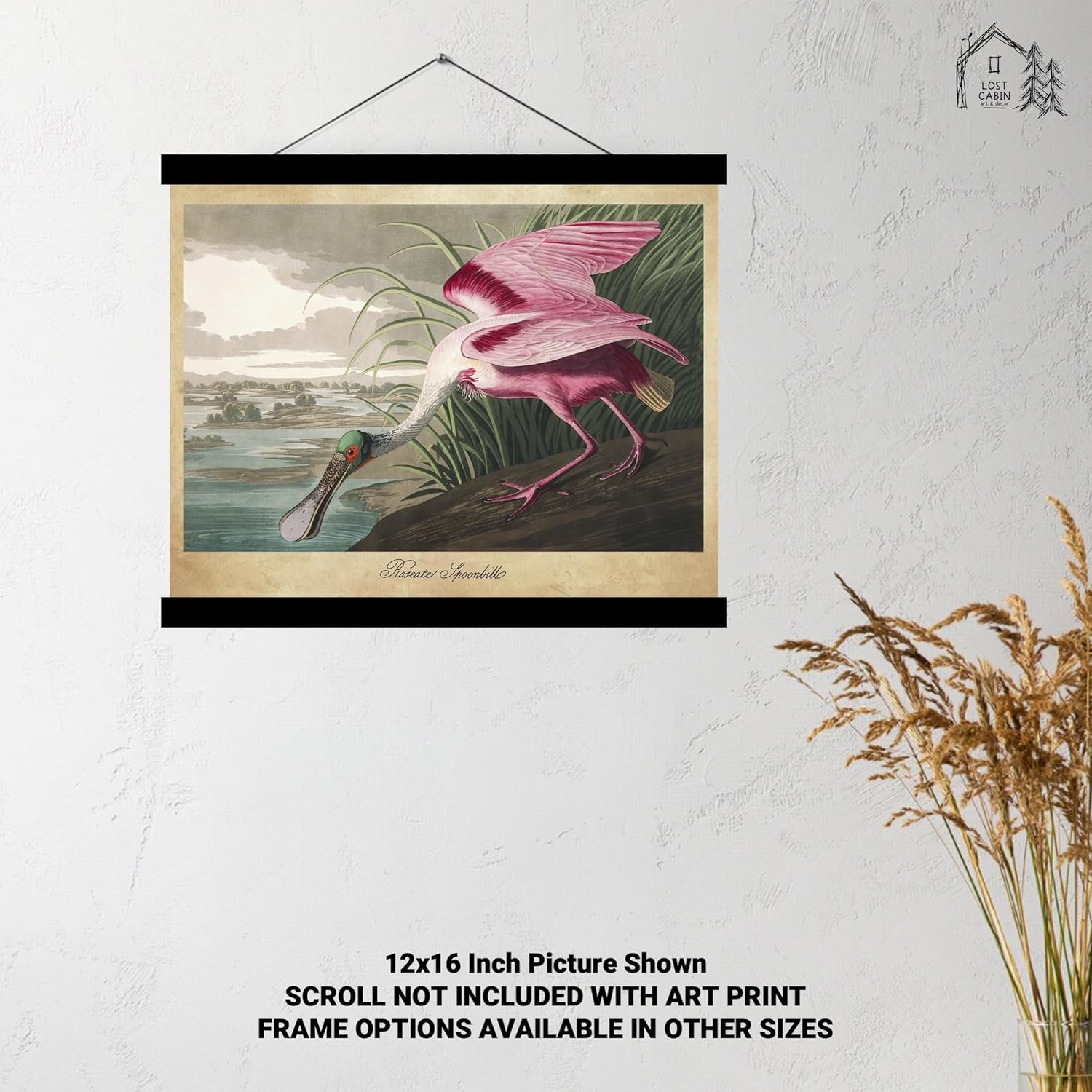 Roseate Spoonbill de James Audubon – Impresión sin marco de 12 x 16 pulgadas  Decoración artística enmarcada  Reproducción de pintura de arte fino