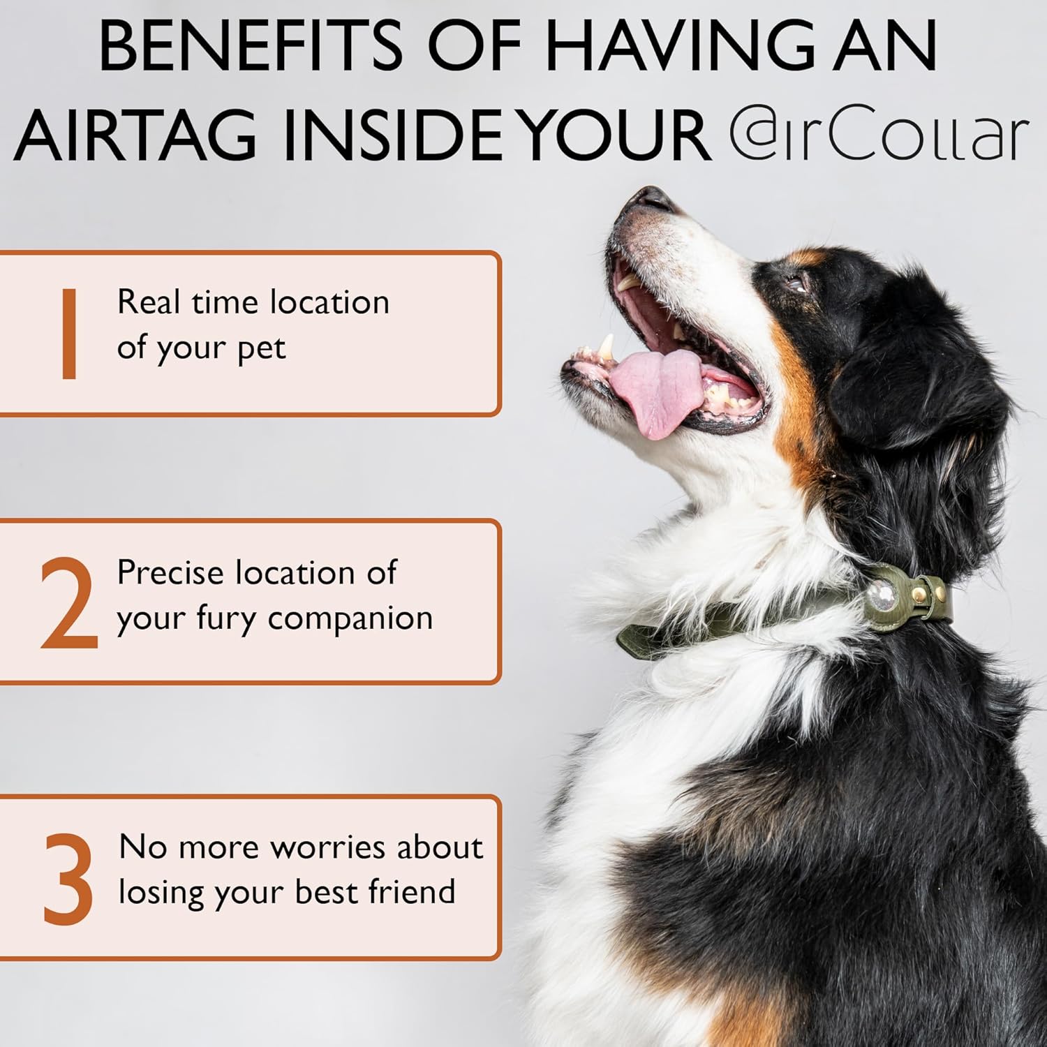 Apple AirTag – Collar de cuero natural para mascotas, compatible con Apple AirTag 2021, cuero duradero (S 0.6 pulgadas de ancho para cuello de 12 a