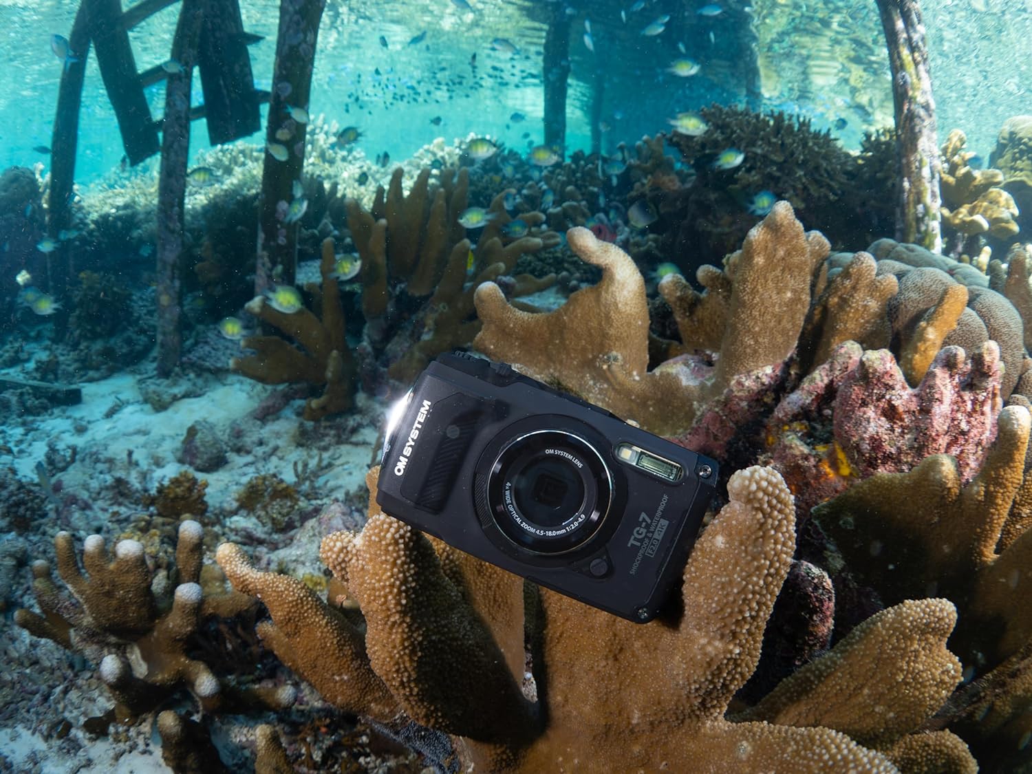 OM SYSTEM Tough TG-7 – Cámara subacuática negra, impermeable, a prueba de congelación, brillo de alta resolución, video 4K 44x Macro Shooting