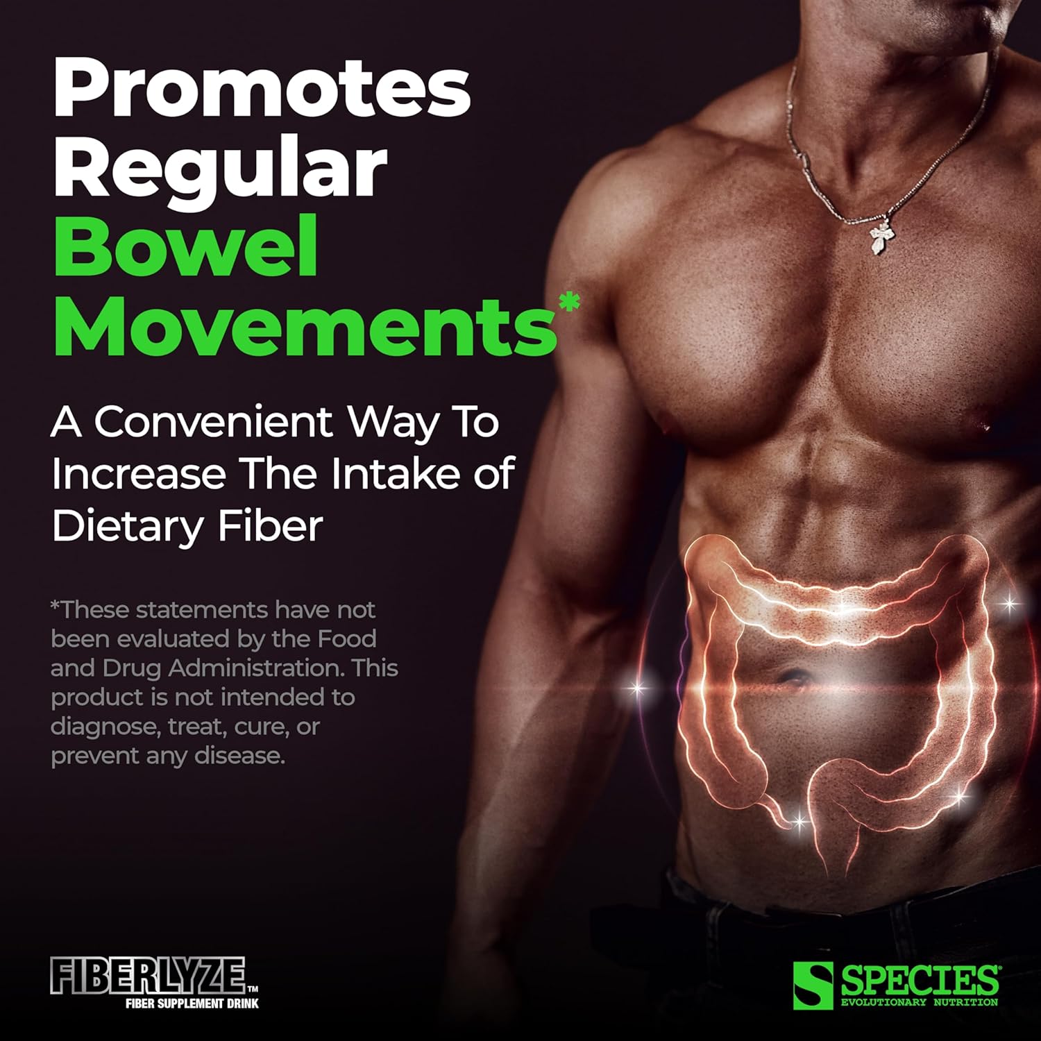 Species Nutrition Suplemento de fibra Fiberlyze, polvo de fibra soluble e insoluble a base de psyllium para colon saludable, funciones digestivas