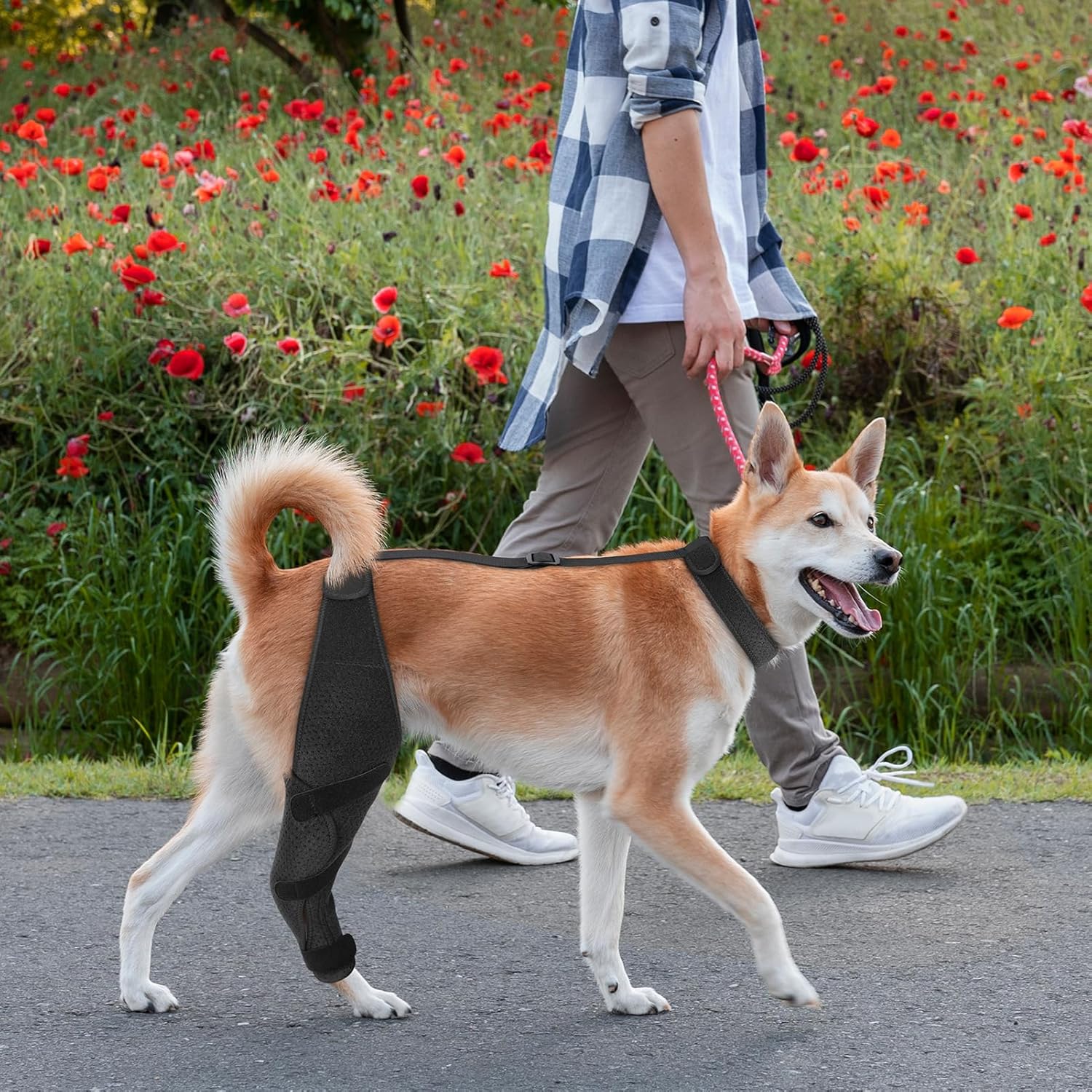 Rodillera ajustable para perro  Soporte para piernas de perro ACL para apoyo con lesiones de ligamento cruzado, dolor articular y dolor muscular,